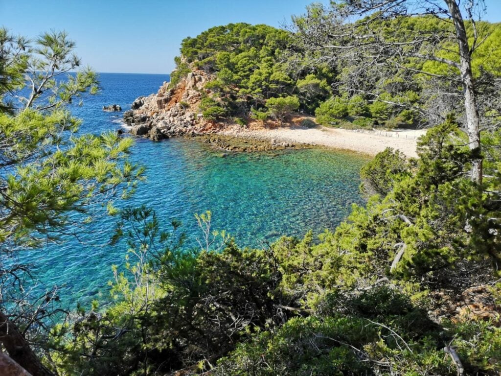 Visit Bandol: TOP 10 things to do - 2026 - 13 - visit bandol, provence, things to do in bandol france visit bandol, provence, things to do in bandol france - Visit Bandol: TOP 10 things to do - 2026 - 12