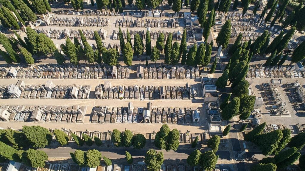 Que faire à Béziers ? Les lieux incontournables entre amis - 2026 - 17 - que faire a beziers que faire a beziers - Que faire à Béziers ? Les lieux incontournables entre amis - 2026 - 16