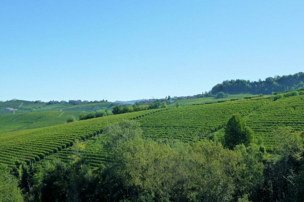 Quels sont les meilleurs vignobles d'Italie ? Guide des 5 régions viticoles italiennes - 2022 - 8 - vignobles en italie, régions viticoles italiennes, toscane, piémont, vénétie, émilie-romagne, sicile vignobles en italie, régions viticoles italiennes, toscane, piémont, vénétie, émilie-romagne, sicile - Quels sont les meilleurs vignobles d'Italie ? Guide des 5 régions viticoles italiennes - 2022 - 7