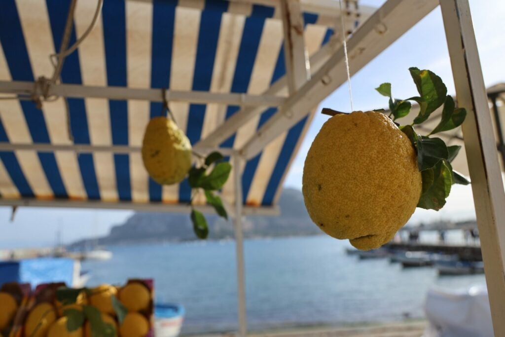 Top things to see and do in Palermo Sicily: Your Ultimate Travel Guide - 2026 - 10 - palermo sicily, palermo italy, sicilian capital, palermo beach, sicilian vineyards, palermo city Palermo sicily