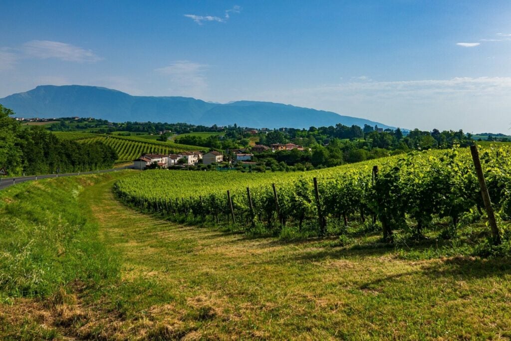 Quels sont les meilleurs vignobles d'Italie ? Guide des 5 régions viticoles italiennes - 2022 - 10 - vignobles en italie, régions viticoles italiennes, toscane, piémont, vénétie, émilie-romagne, sicile vignobles en italie, régions viticoles italiennes, toscane, piémont, vénétie, émilie-romagne, sicile - Quels sont les meilleurs vignobles d'Italie ? Guide des 5 régions viticoles italiennes - 2022 - 9