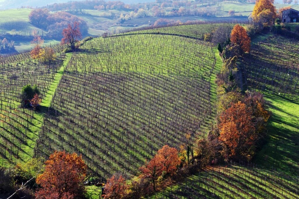 Quels sont les meilleurs vignobles d'Italie ? Guide des 5 régions viticoles italiennes - 2022 - 12 - vignobles en italie, régions viticoles italiennes, toscane, piémont, vénétie, émilie-romagne, sicile vignobles en italie, régions viticoles italiennes, toscane, piémont, vénétie, émilie-romagne, sicile - Quels sont les meilleurs vignobles d'Italie ? Guide des 5 régions viticoles italiennes - 2022 - 11