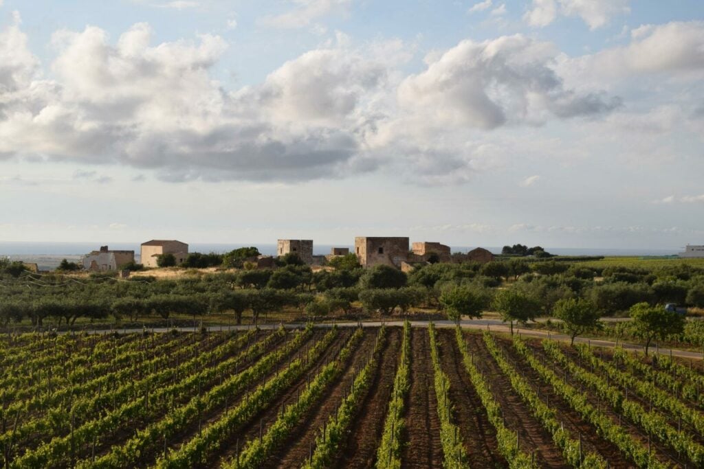 Quels sont les meilleurs vignobles d'Italie ? Guide des 5 régions viticoles italiennes - 2022 - 14 - vignobles en italie, régions viticoles italiennes, toscane, piémont, vénétie, émilie-romagne, sicile vignobles en italie, régions viticoles italiennes, toscane, piémont, vénétie, émilie-romagne, sicile - Quels sont les meilleurs vignobles d'Italie ? Guide des 5 régions viticoles italiennes - 2022 - 13