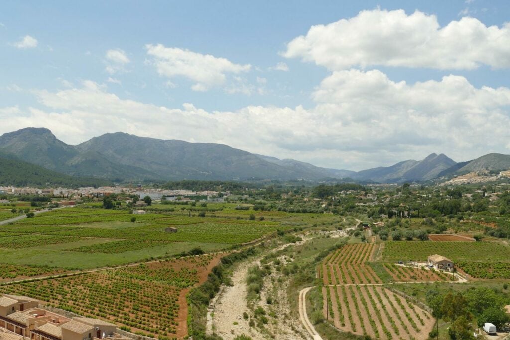 Your guide to discovering 6 best wine regions of Spain - 2026 - 2 - wine regions of spain, rioja, spain wine regions, ribera del duero wine, valencia, catalonia, andalucia wine regions of spain, rioja, spain wine regions, ribera del duero wine, valencia, catalonia, andalucia - Your guide to discovering 6 best wine regions of Spain - 2026 - 1