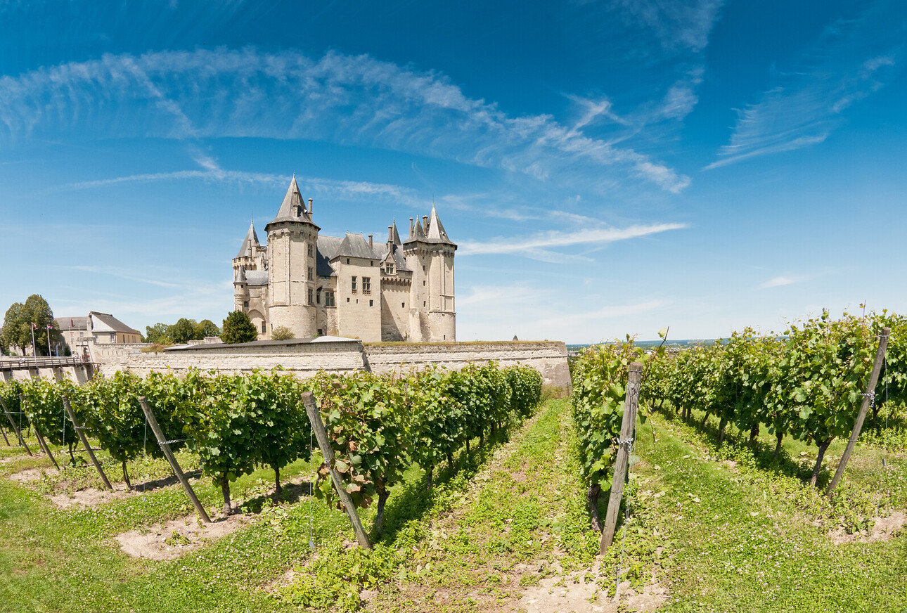 route des vins touraine - Route des vins Touraine : Découvrir les vins de Loire et ses vignobles - 2026 - 1