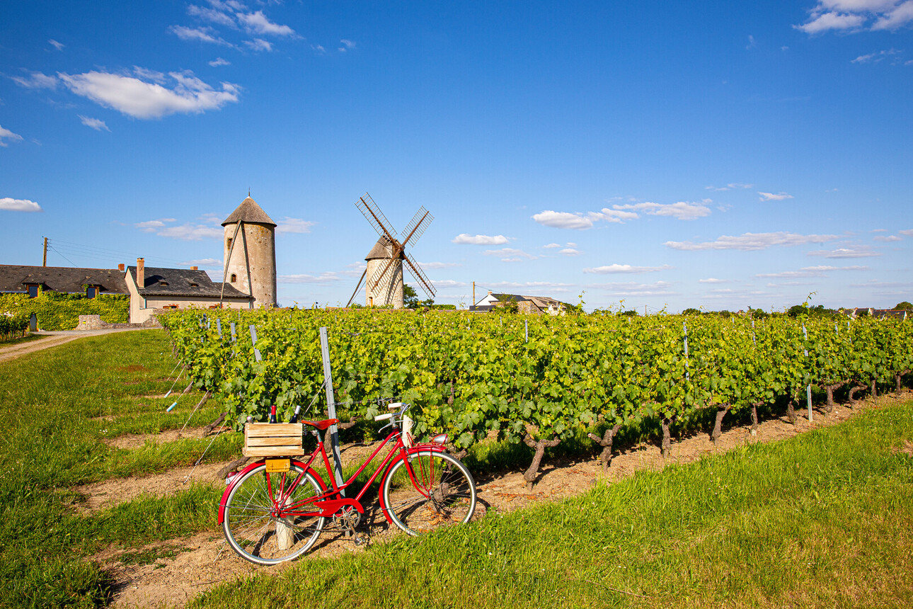 Route des vins Saumur Loire: découvrir les vins d'Anjou et le Saumurois - 2026 - 2 - route des vins saumur route des vins saumur - Route des vins Saumur Loire: découvrir les vins d'Anjou et le Saumurois - 2026 - 1