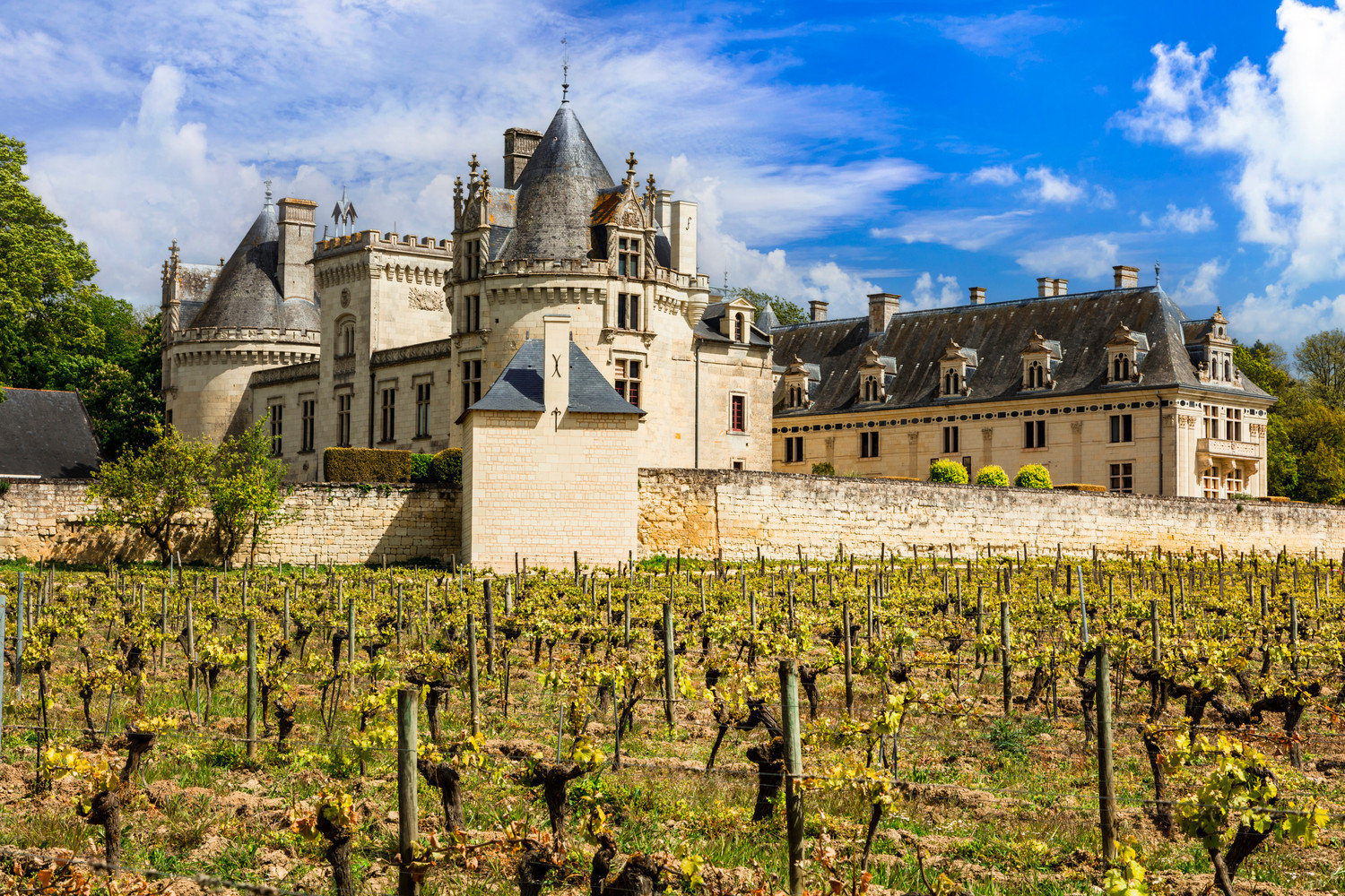 Visiter Saumur et ses environs : Les immanquables - 2026 - 29 - visiter saumur visiter saumur - Visiter Saumur et ses environs : Les immanquables - 2026 - 28