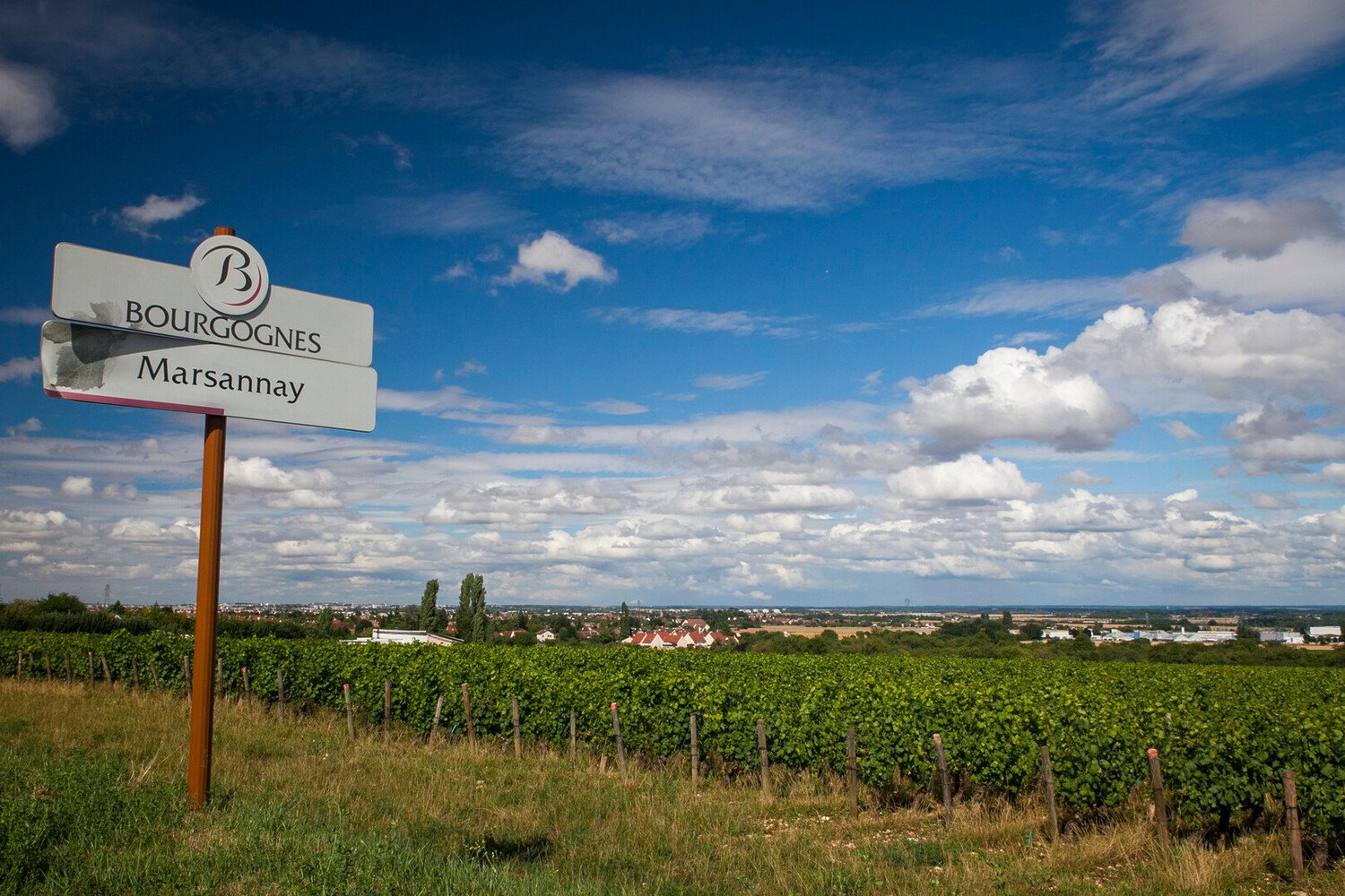 Route des vins de Bourgogne Carte : Entre climats et Grands Crus - 2026 - 5 - route des vins de bourgogne, route des grands crus carte, route des grands crus de bourgogne, route des vins beaune route des vins de bourgogne, route des grands crus carte, route des grands crus de bourgogne, route des vins beaune - Route des vins de Bourgogne Carte : Entre climats et Grands Crus - 2026 - 4