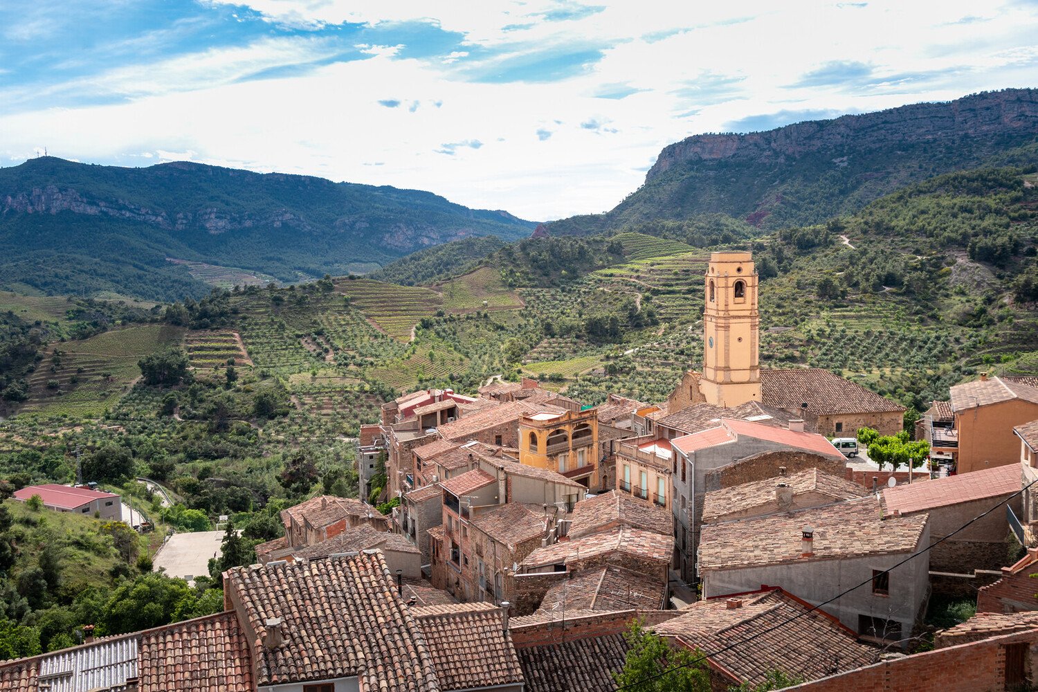 Barcelona Wine Route: A Journey Through Local Vineyards - 2026 - 20 - barcelona wine route barcelona wine route - Barcelona Wine Route: A Journey Through Local Vineyards - 2026 - 19