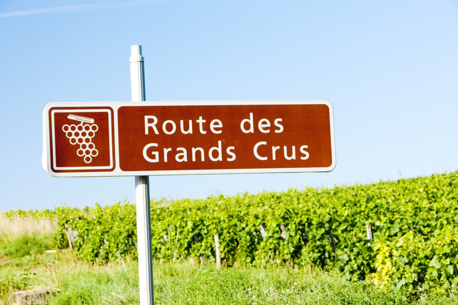 Route des vins de Bourgogne Carte : Entre climats et Grands Crus - 2026 - 3 - route des vins de bourgogne, route des grands crus carte, route des grands crus de bourgogne, route des vins beaune route des vins de bourgogne, route des grands crus carte, route des grands crus de bourgogne, route des vins beaune - Route des vins de Bourgogne Carte : Entre climats et Grands Crus - 2026 - 2