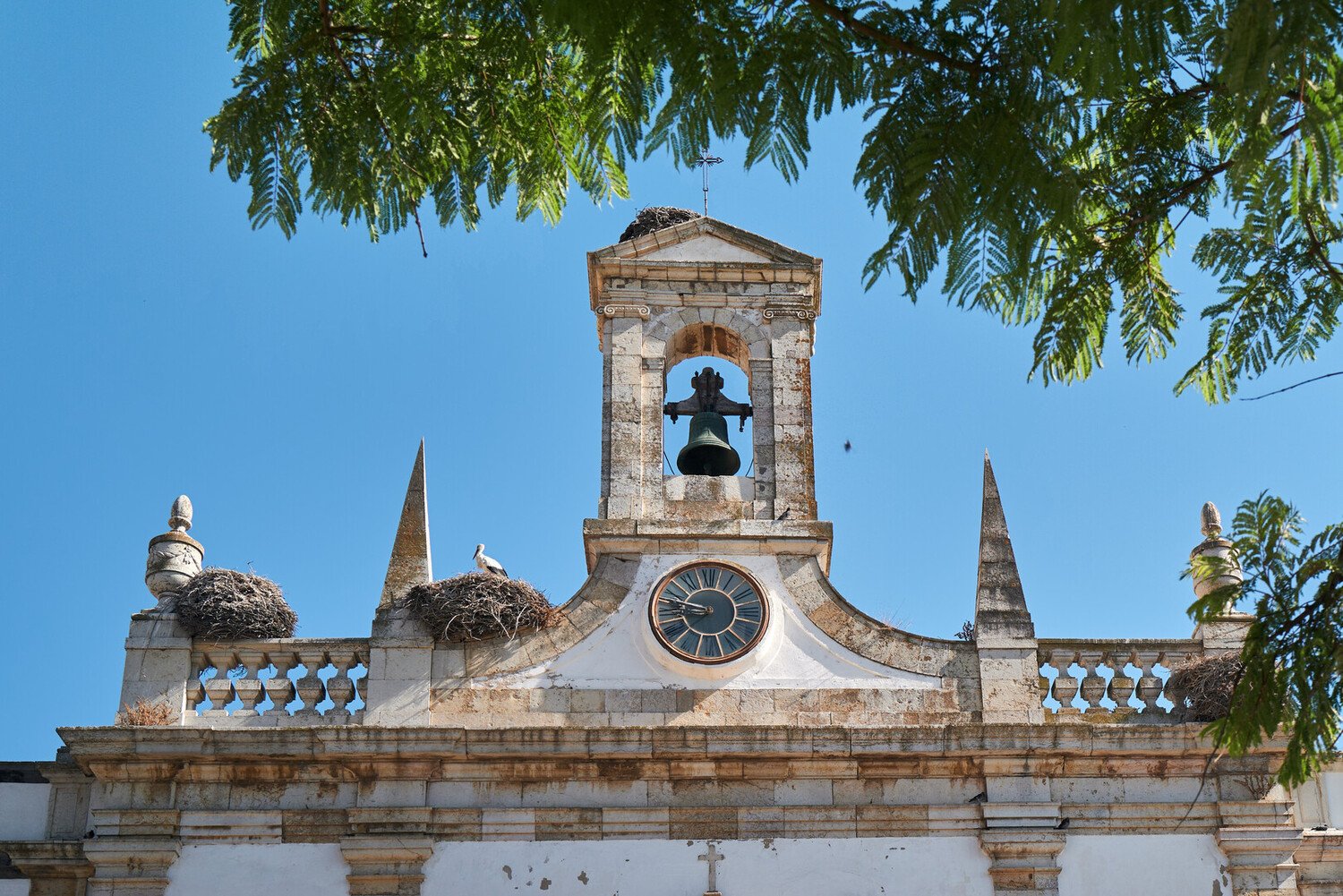 Discover the 10 Best Things To Do in Faro, Portugal (Attractions & places to visit) - 2026 - 4 - things to do in faro things to do in faro - Discover the 10 Best Things To Do in Faro, Portugal (Attractions & places to visit) - 2026 - 3
