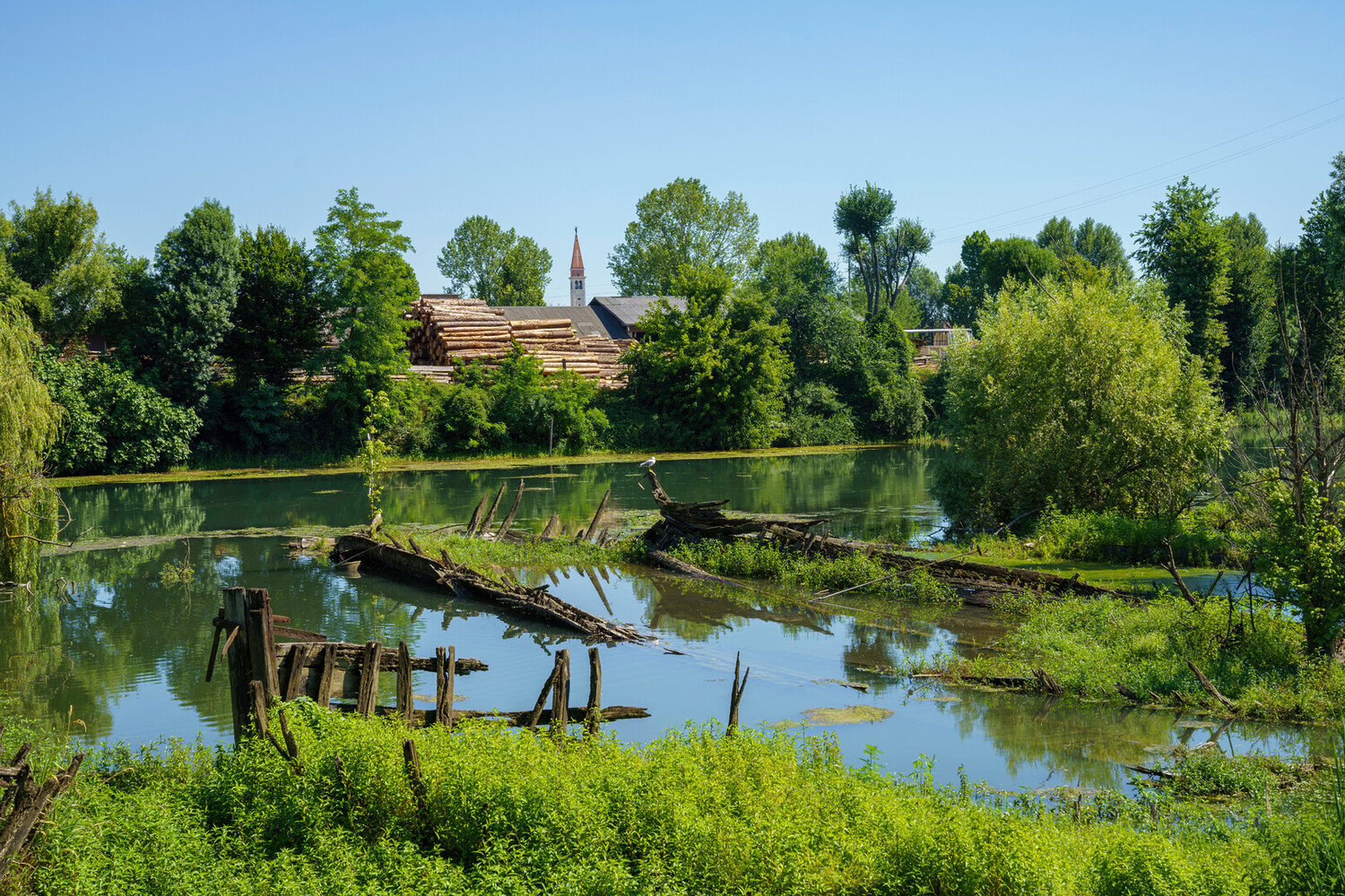 Cosa vedere a Treviso: Weekend perfetto nella Città dei Canali - 2026 - 11 - cosa vedere a treviso, visitare treviso, weekend a Treviso, / cosa vedere a treviso, visitare treviso, weekend a Treviso, / - Cosa vedere a Treviso: Weekend perfetto nella Città dei Canali - 2026 - 10