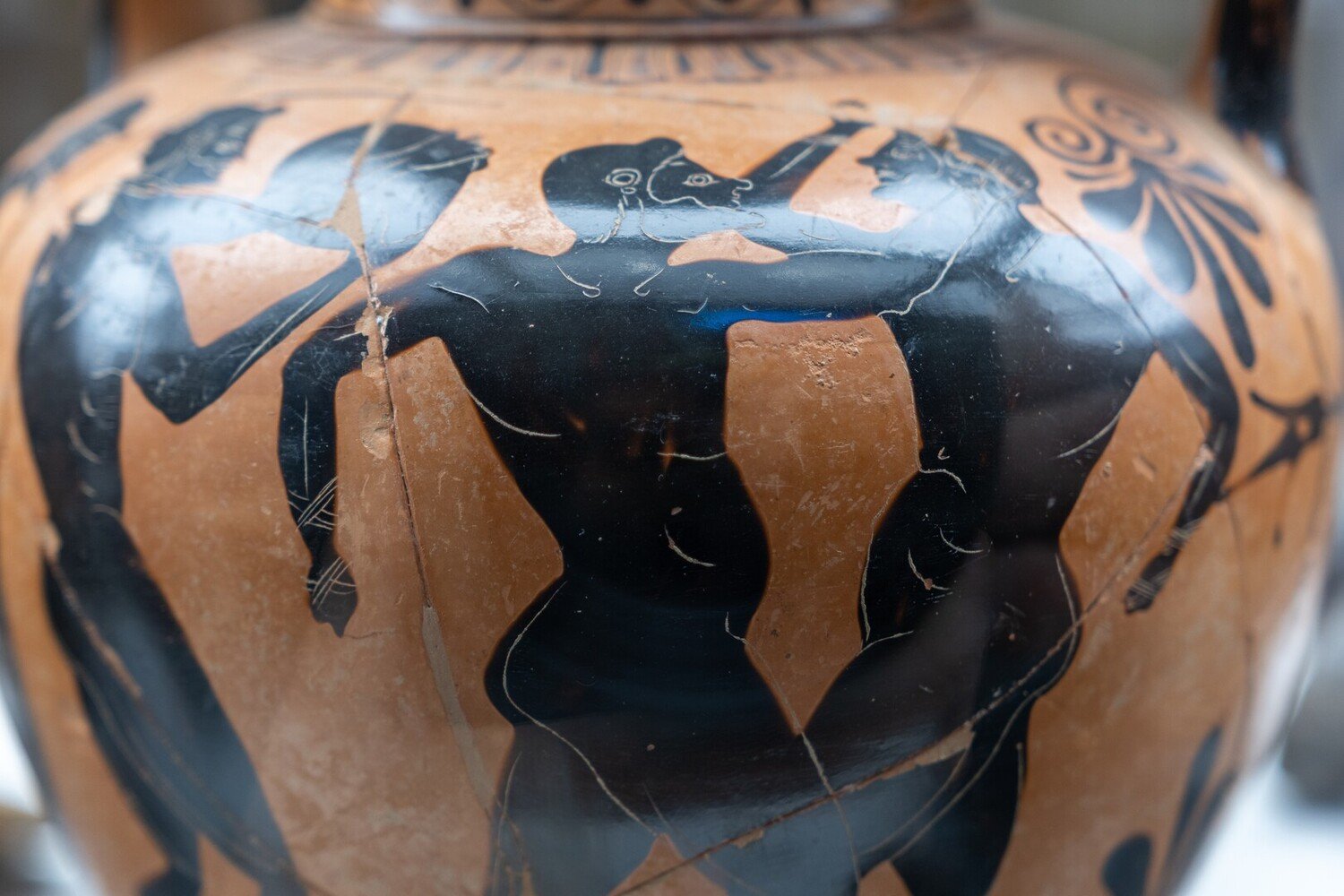 Cosa vedere a Bologna: Migliori posti da visitare - 2026 - 16 - cosa vedere a bologna,cosa fare a bologna,visitare bologna cosa vedere a bologna,cosa fare a bologna,visitare bologna - Cosa vedere a Bologna: Migliori posti da visitare - 2026 - 15