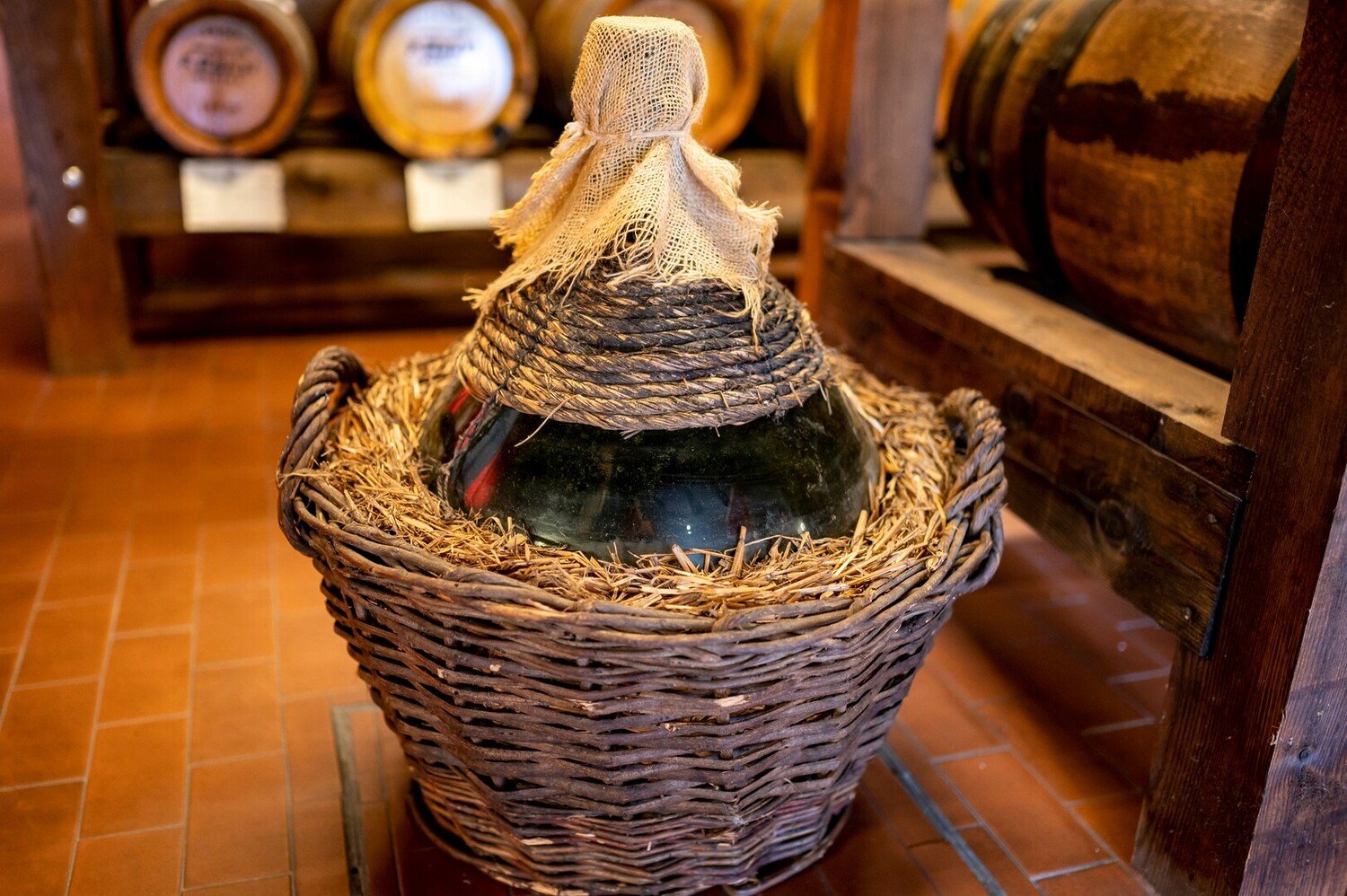 Cosa vedere a Modena: Migliori posti da visitare - 2026 - 11 - cosa vedere a modena,cosa fare a modena,visitare modena cosa vedere a modena,cosa fare a modena,visitare modena - Cosa vedere a Modena: Migliori posti da visitare - 2026 - 10