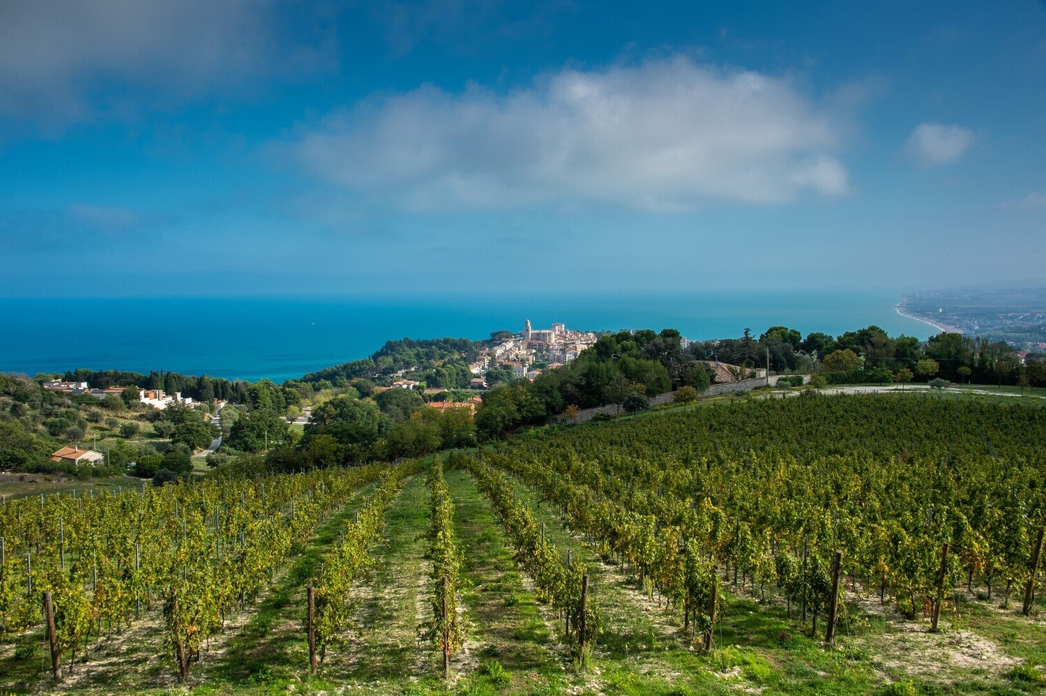Cosa vedere ad Ancona: TOP 10 Luoghi Imperdibili - 2026 - 24 - cosa vedere ad ancona, cosa fare ad ancona, visitare ancona cosa vedere ad ancona, cosa fare ad ancona, visitare ancona - Cosa vedere ad Ancona: TOP 10 Luoghi Imperdibili - 2026 - 23