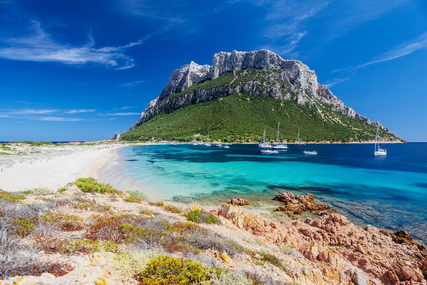 Cosa vedere a Olbia: migliori posti da visitare - 2026 - 11 - cosa vedere a olbia, cosa fare a olbia, visitare olbia cosa vedere a olbia, cosa fare a olbia, visitare olbia - Cosa vedere a Olbia: migliori posti da visitare - 2026 - 10