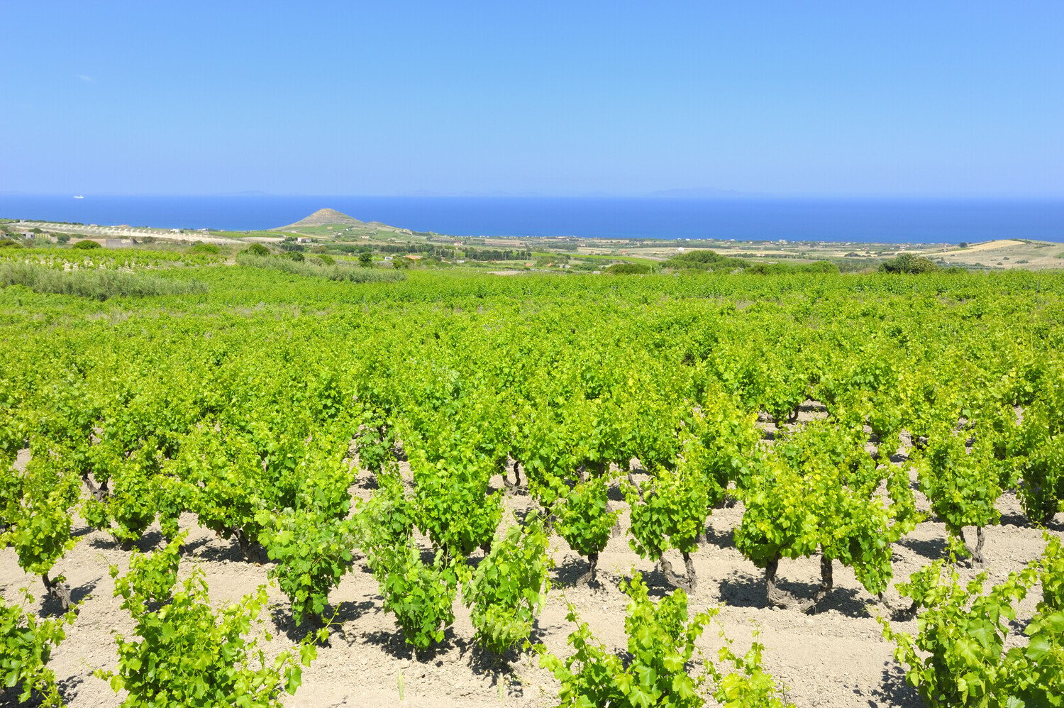 Cosa vedere a Olbia: migliori posti da visitare - 2026 - 19 - cosa vedere a olbia, cosa fare a olbia, visitare olbia cosa vedere a olbia, cosa fare a olbia, visitare olbia - Cosa vedere a Olbia: migliori posti da visitare - 2026 - 18