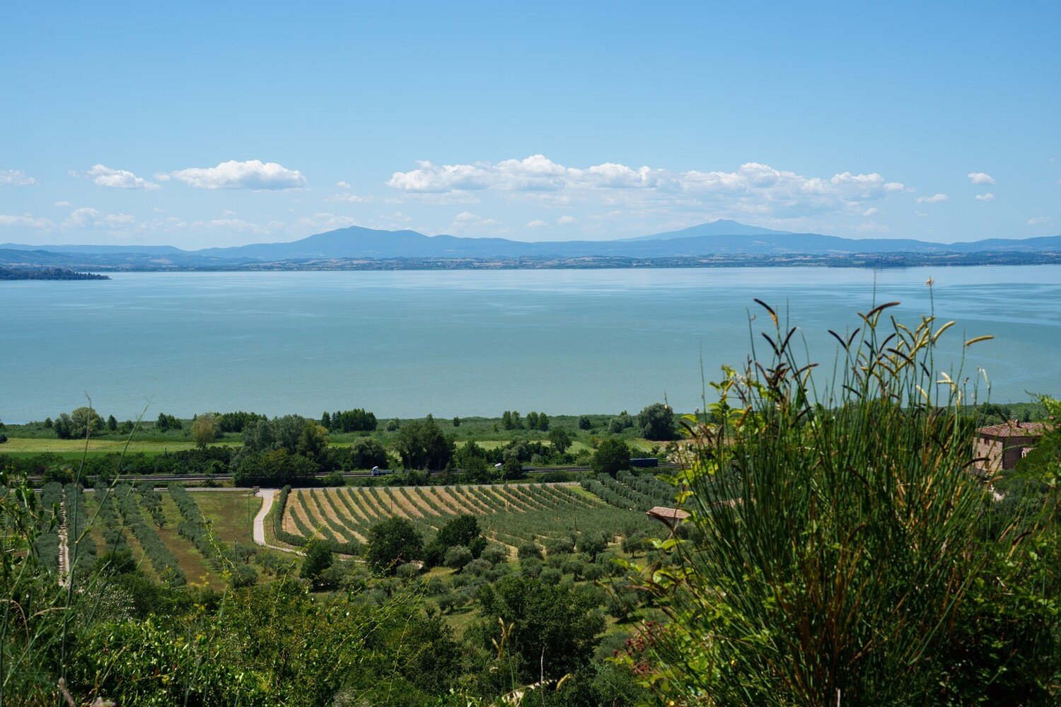 Visit Citta della Pieve Italy: A Masterpiece in Central Italy - 2026 - 16 - visit citta della pieve visit citta della pieve - Visit Citta della Pieve Italy: A Masterpiece in Central Italy - 2026 - 15