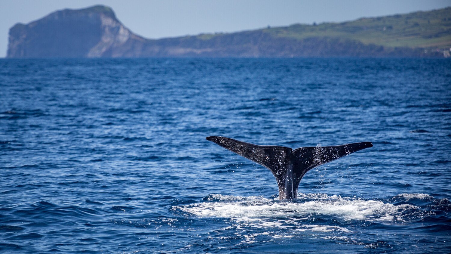 Visiter les Açores : les plus beaux paysages & expériences de l’archipel - 2026 - 19 - açores açores - Visiter les Açores : les plus beaux paysages & expériences de l’archipel - 2026 - 18