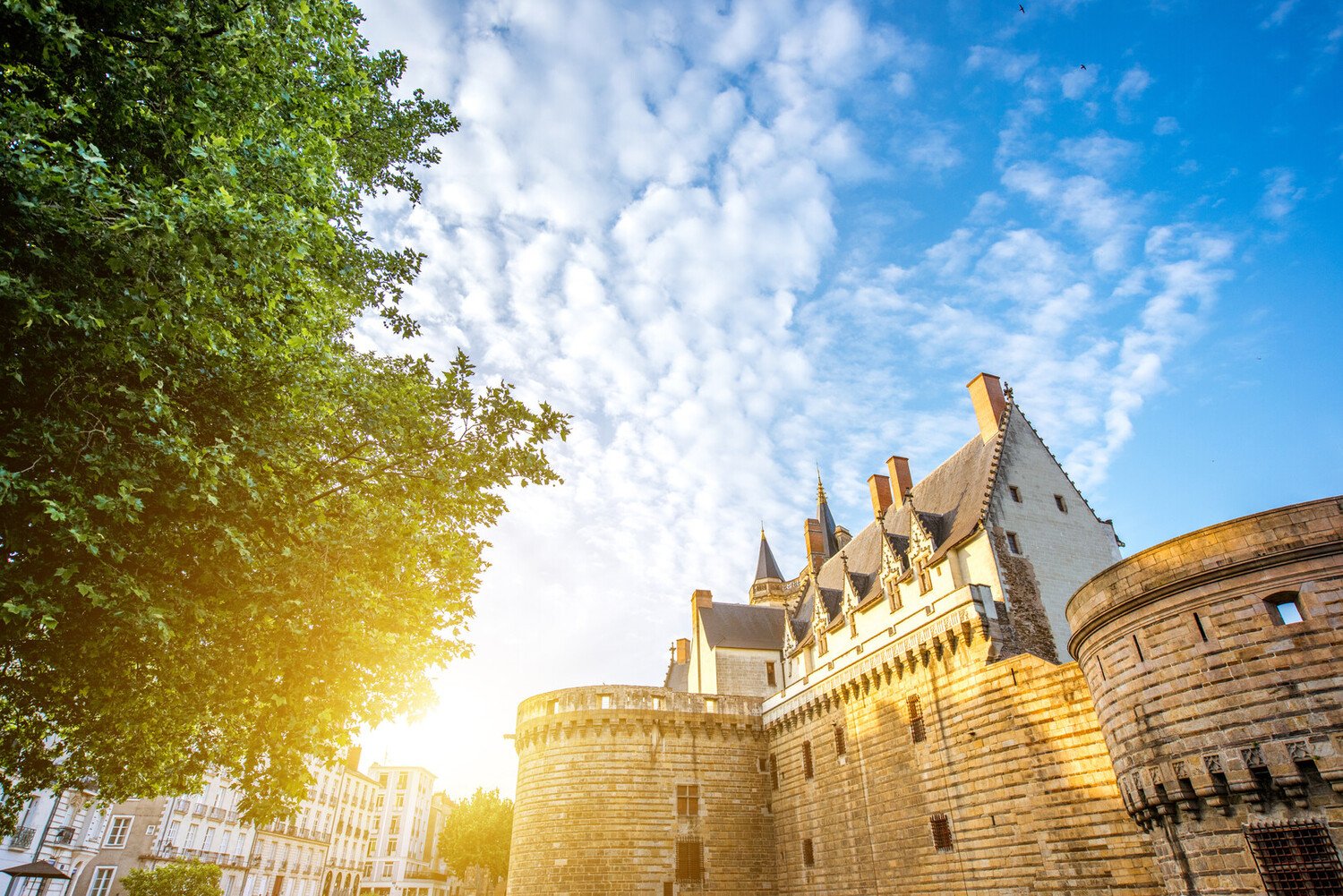 Visiter Nantes en 1 jour : découvrir les incontournables au cœur de la ville - 2026 - 4 - visiter nantes visiter nantes - Visiter Nantes en 1 jour : découvrir les incontournables au cœur de la ville - 2026 - 3
