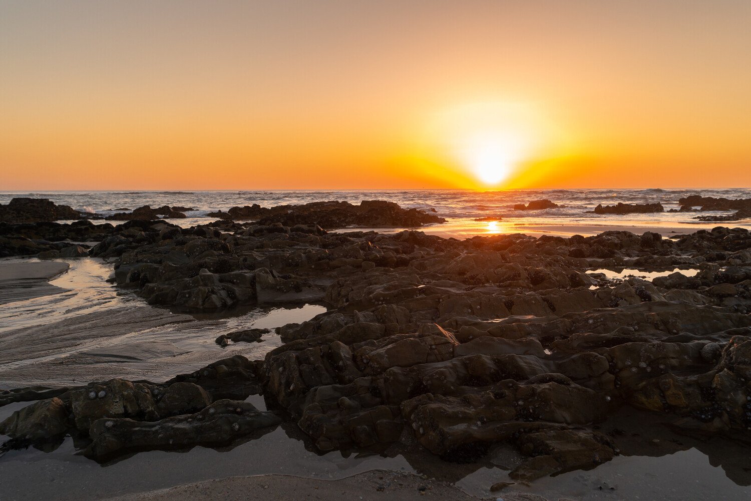 Esposende Travel Guide: Where the Ocean Meets Heritage and Wine - 2026 - 3 - esposende portugal Esposende Nature