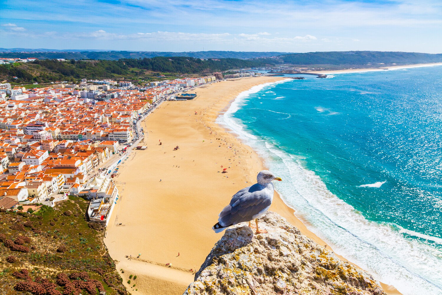 Visit Leiria Portugal: A Central & Historic Gem - 2026 - 13 - visit leiria portugal visit leiria portugal - Visit Leiria Portugal: A Central & Historic Gem - 2026 - 12