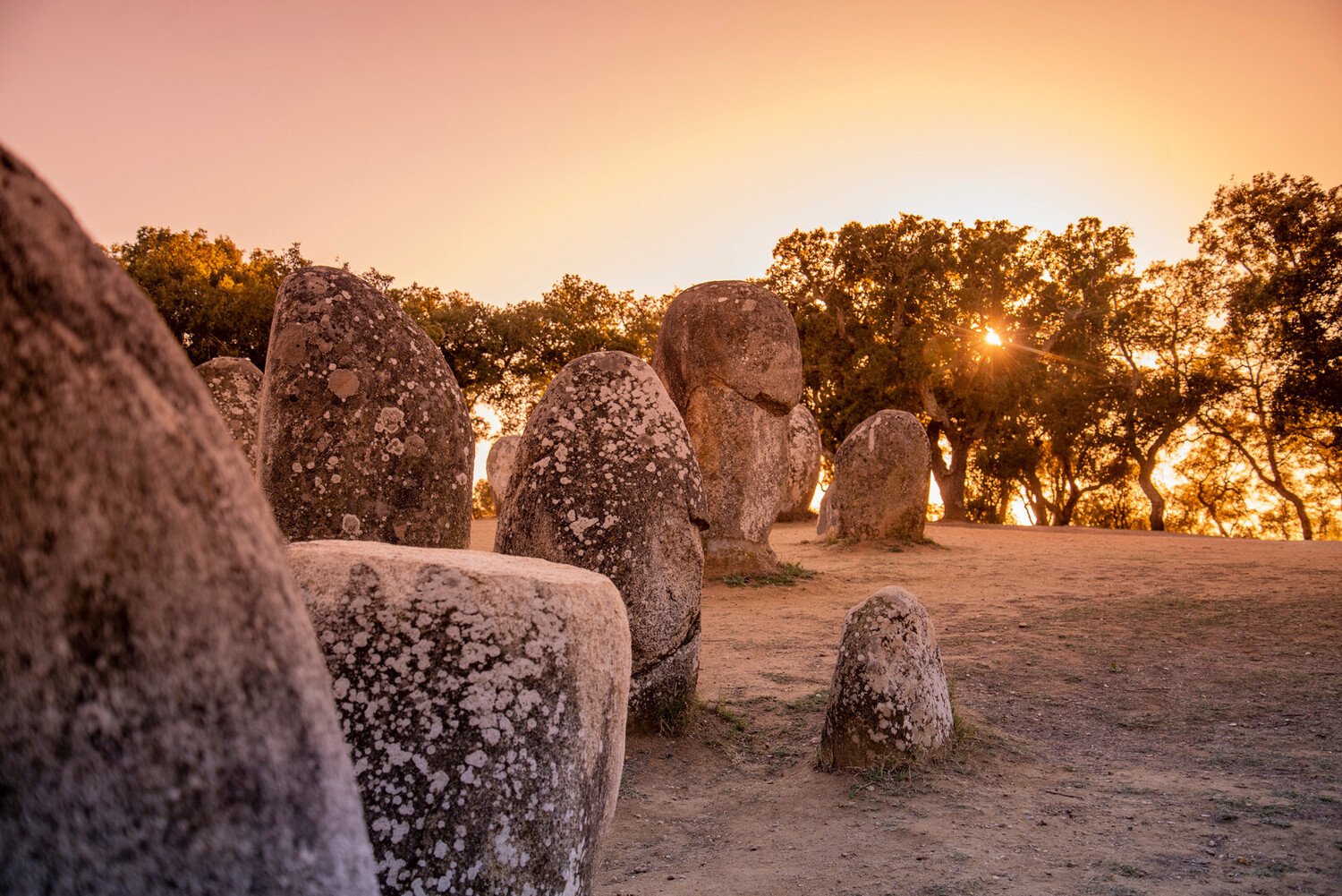 Things to Do in Évora: A Journey Through Time and Stone - 2026 - 24 - things to do in evora things to do in evora - Things to Do in Évora: A Journey Through Time and Stone - 2026 - 23