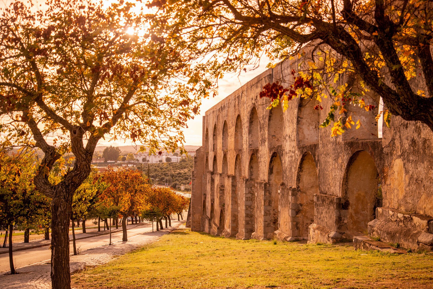 Discover the rich history of Elvas: Portugal's UNESCO Fort City - 2026 - 6 - visit Elvas visit Elvas - Discover the rich history of Elvas: Portugal's UNESCO Fort City - 2026 - 5