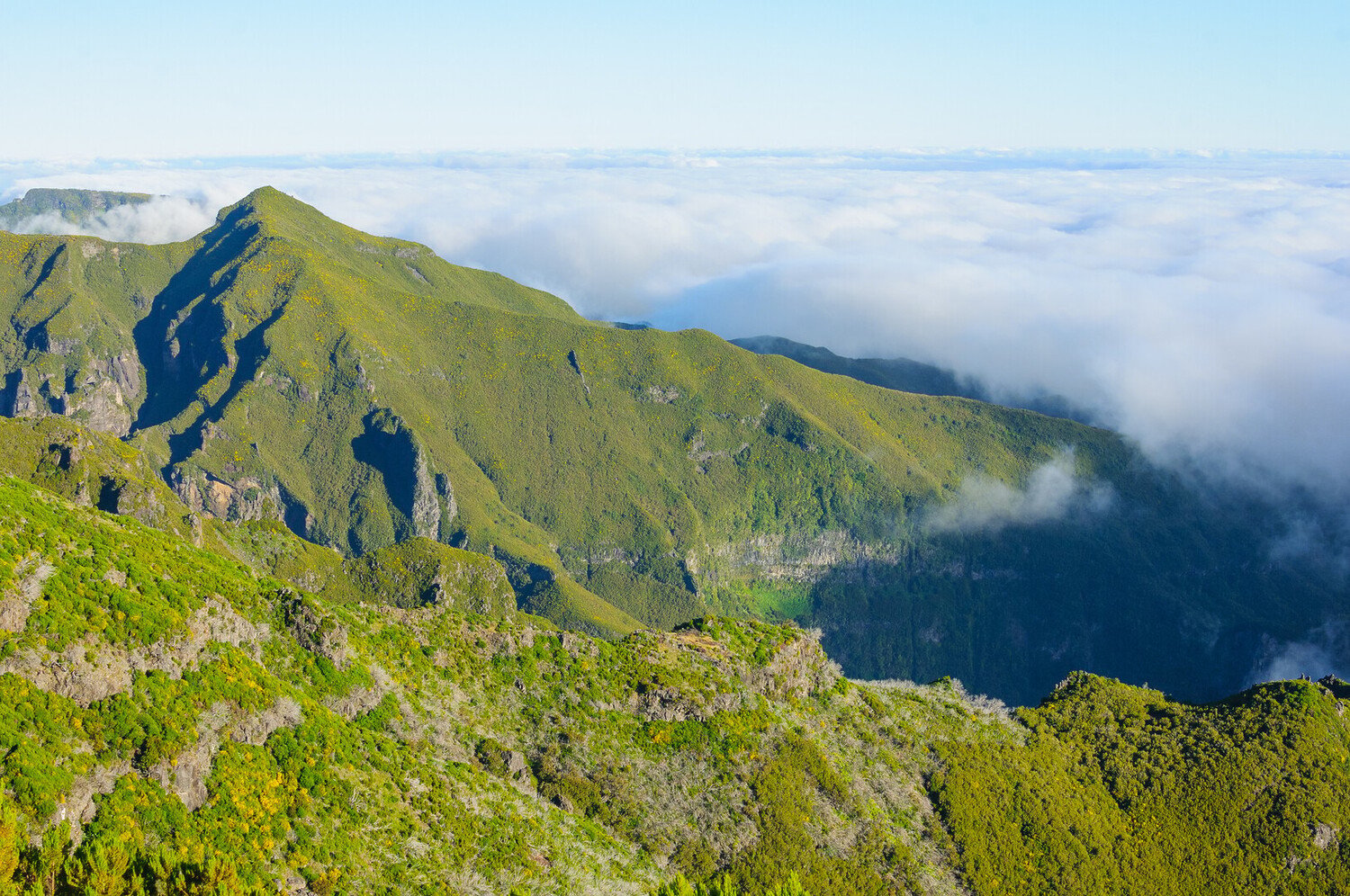 Visit Ribeira Brava : A Colorful Stop Along the Southern Shore - 2026 - 32 - ribeira brava ribeira brava - Visit Ribeira Brava : A Colorful Stop Along the Southern Shore - 2026 - 31