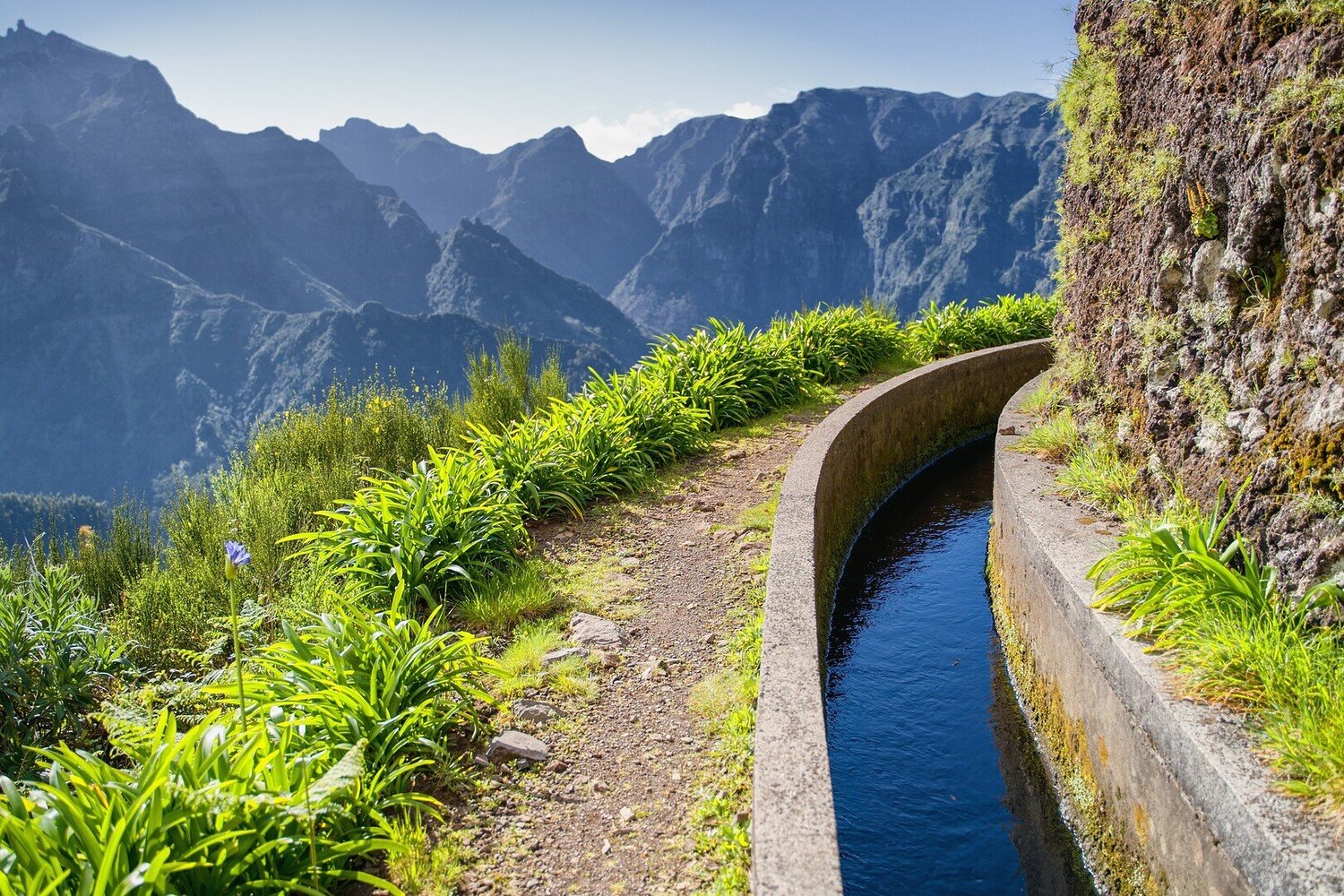 Visit Ribeira Brava : A Colorful Stop Along the Southern Shore - 2026 - 34 - ribeira brava ribeira brava - Visit Ribeira Brava : A Colorful Stop Along the Southern Shore - 2026 - 33