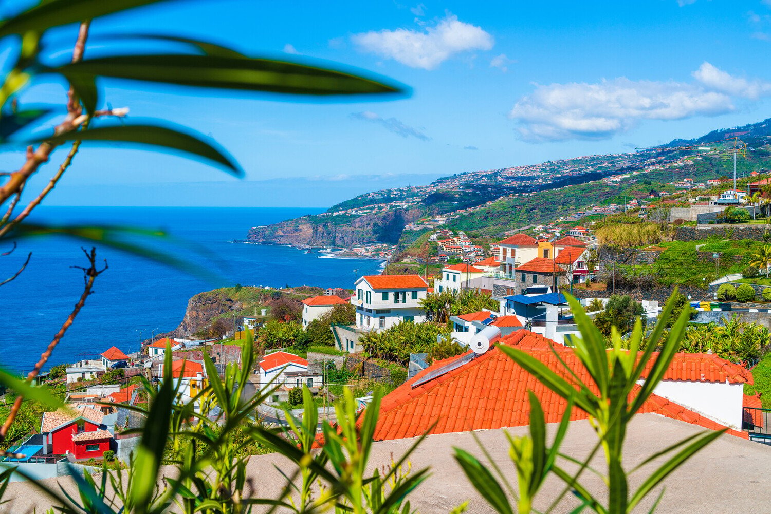 Visit Ribeira Brava : A Colorful Stop Along the Southern Shore - 2026 - 4 - ribeira brava ribeira brava - Visit Ribeira Brava : A Colorful Stop Along the Southern Shore - 2026 - 3