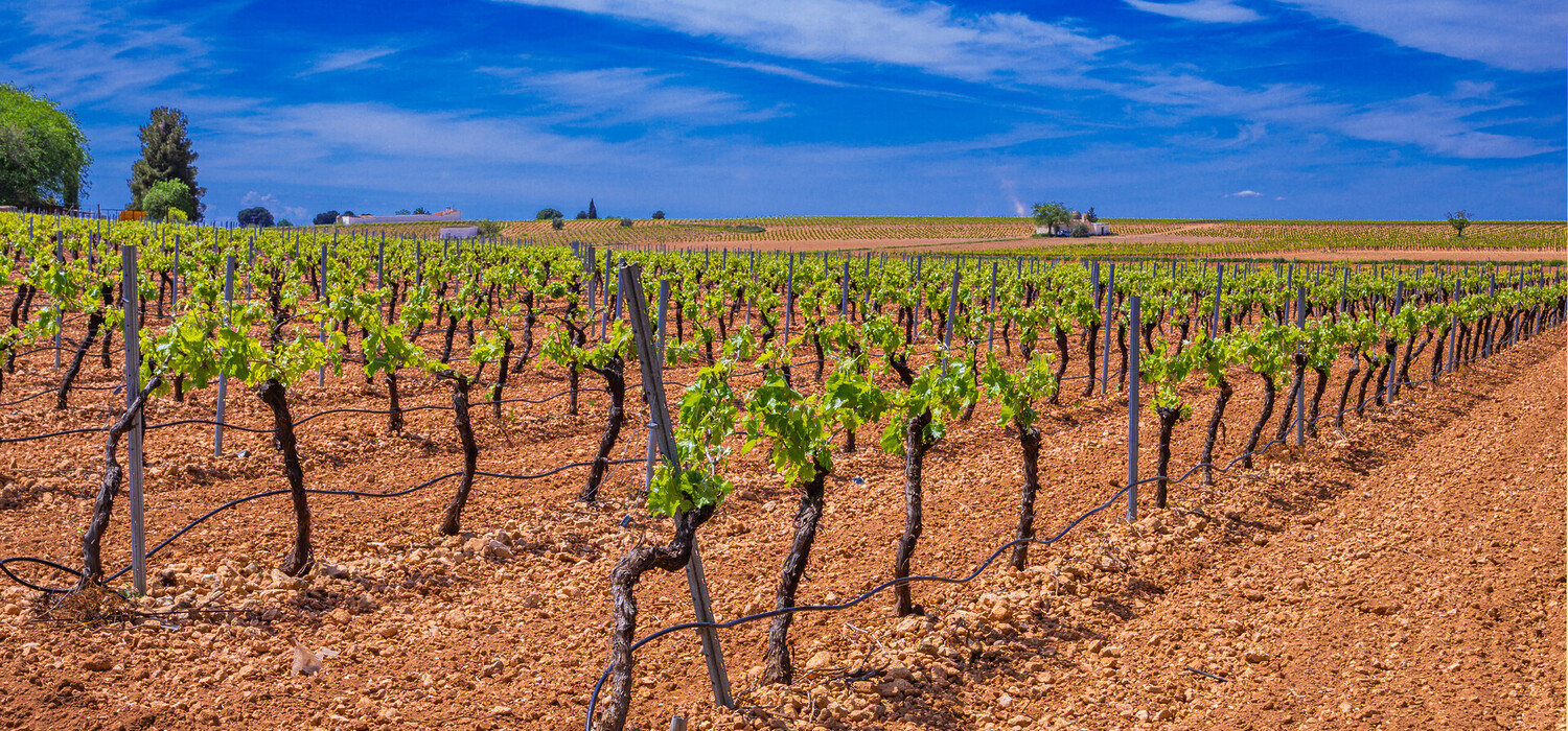 Things to Do in Madrid: A Stylish Spin Through Spain’s Capital - 2026 - 34 - things to do in madrid things to do in madrid - Things to Do in Madrid: A Stylish Spin Through Spain’s Capital - 2026 - 33