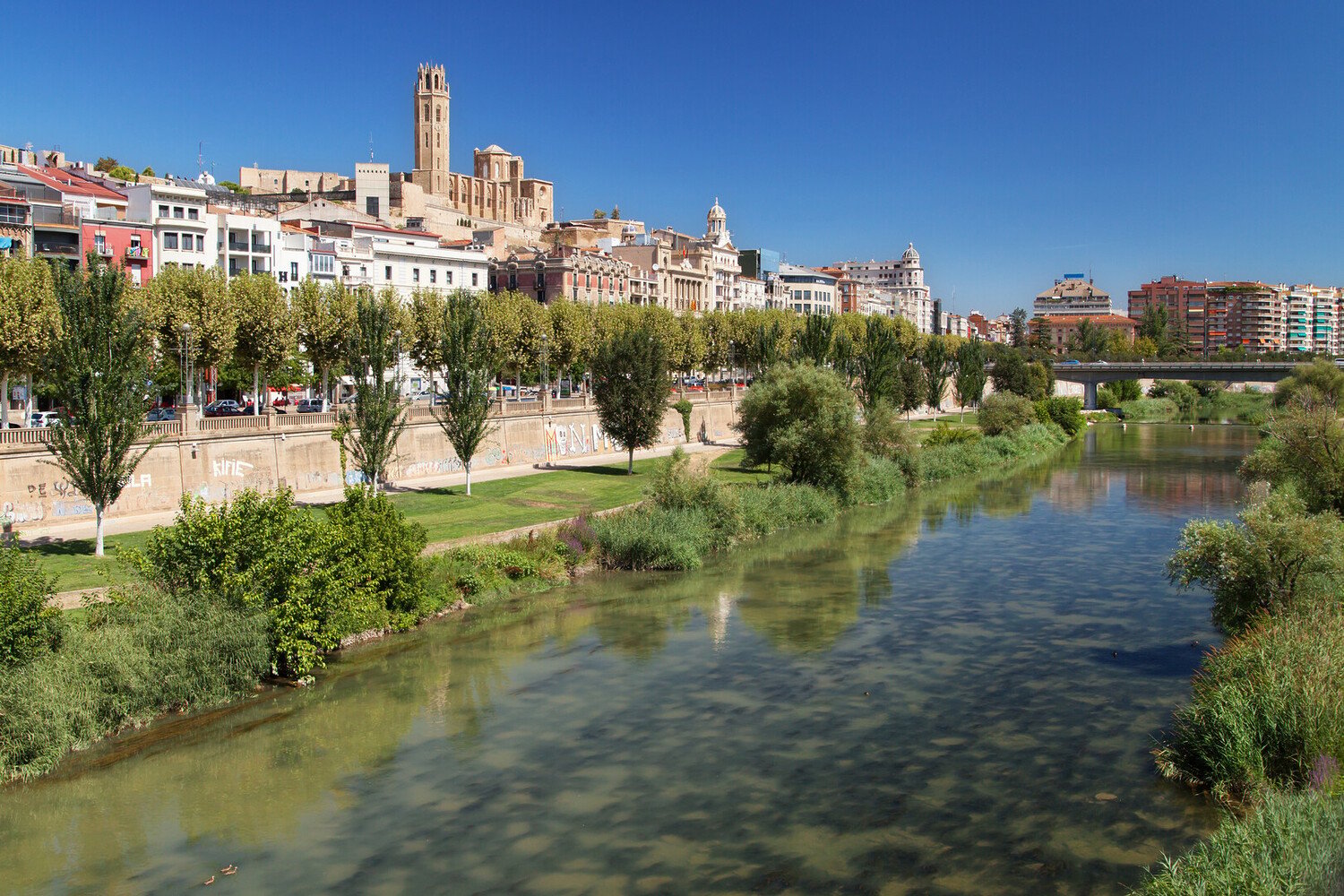 Top Things to Do in Tarragona: Plan Your Perfect Day - 2026 - 20 - things to do in tarragona spain things to do in tarragona spain - Top Things to Do in Tarragona: Plan Your Perfect Day - 2026 - 19