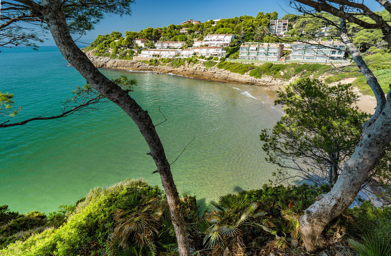 Things to Do in Reus, Spain: The must-sees in the city - 2026 - 10 - things to do in reus things to do in reus - Things to Do in Reus, Spain: The must-sees in the city - 2026 - 9
