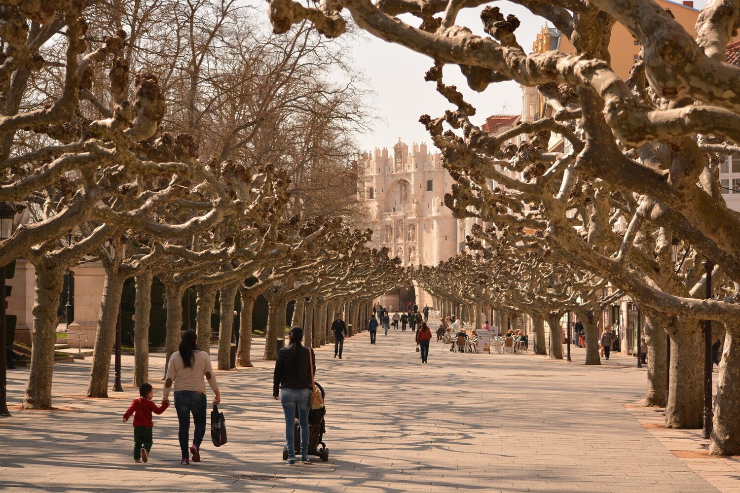 Plan Your Next Trip: The Best Things to Do in Burgos Spain - 2026 - 12 - things to do in burgos spain things to do in burgos spain - Plan Your Next Trip: The Best Things to Do in Burgos Spain - 2026 - 11