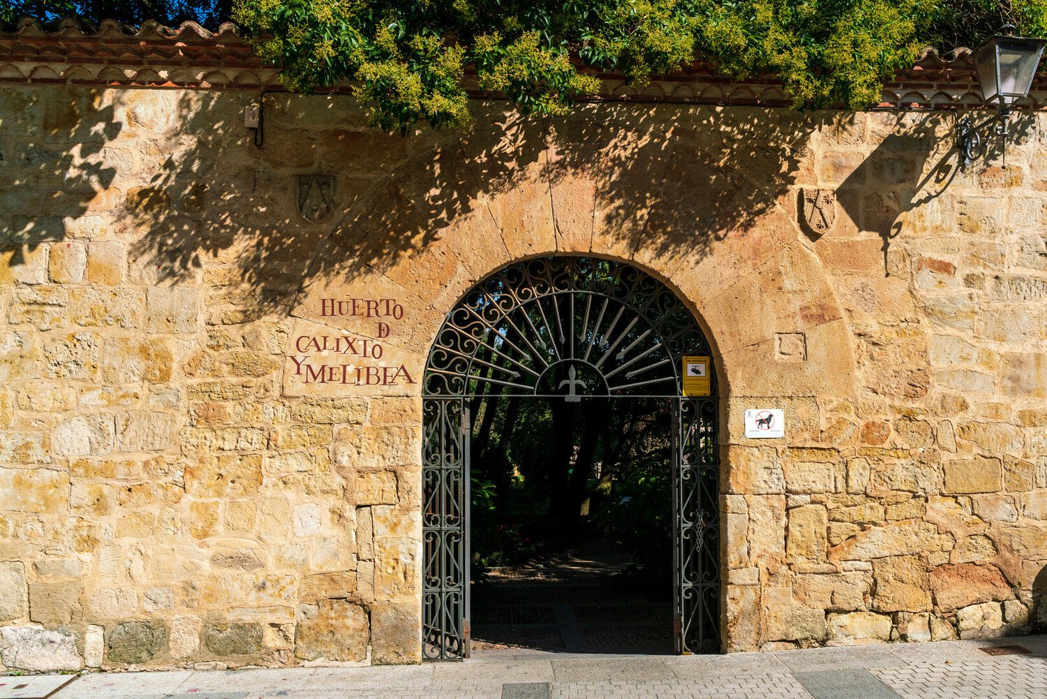 Top Things To Do in Salamanca Spain: Must-See Attractions - 2026 - 20 - things to do in salamanca spain things to do in salamanca spain - Top Things To Do in Salamanca Spain: Must-See Attractions - 2026 - 19