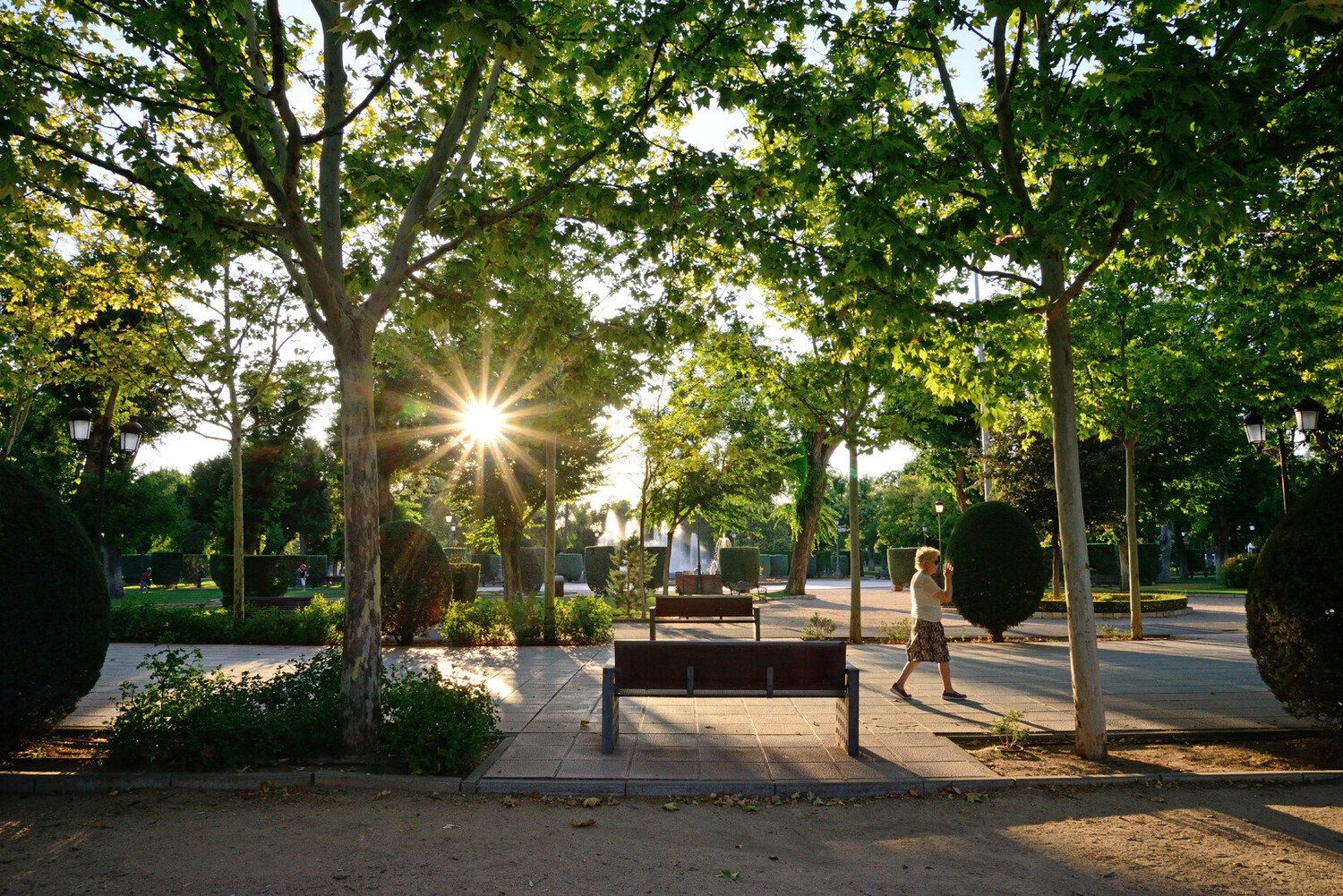 Unmissable Things to Do in Ciudad Real Spain: Your Itinerary - 2026 - 14 - things to do in ciudad real spain things to do in ciudad real spain - Unmissable Things to Do in Ciudad Real Spain: Your Itinerary - 2026 - 13