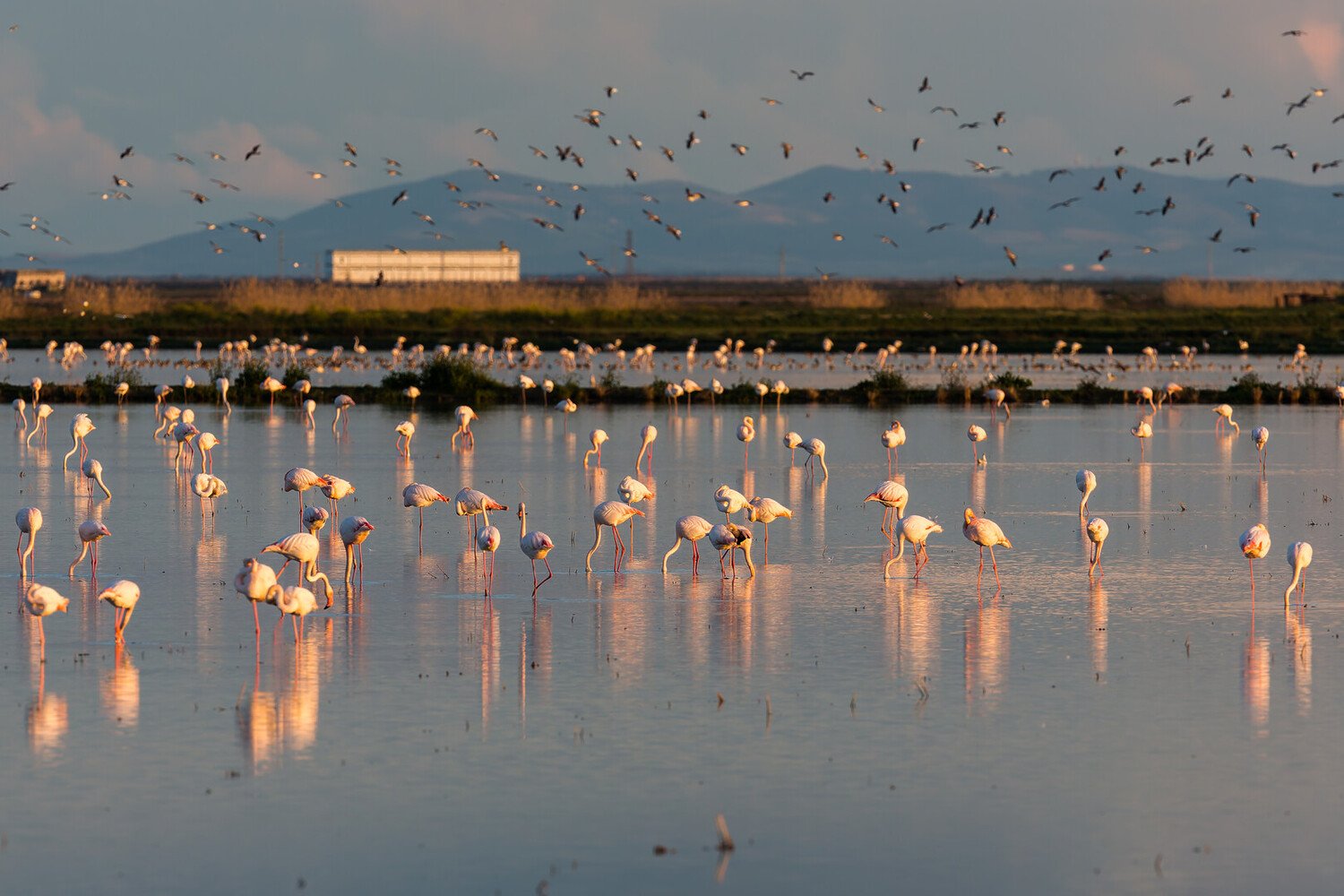 Sanlúcar de Barrameda: Things to Do in Spain’s Underrated Seaside Treasure - 2026 - 4 - things to do in Sanlúcar de Barrameda things to do in Sanlúcar de Barrameda - Sanlúcar de Barrameda: Things to Do in Spain’s Underrated Seaside Treasure - 2026 - 3
