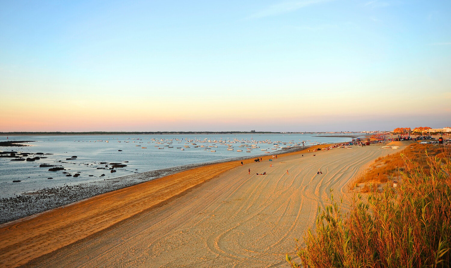Sanlúcar de Barrameda: Things to Do in Spain’s Underrated Seaside Treasure - 2026 - 12 - things to do in Sanlúcar de Barrameda things to do in Sanlúcar de Barrameda - Sanlúcar de Barrameda: Things to Do in Spain’s Underrated Seaside Treasure - 2026 - 11