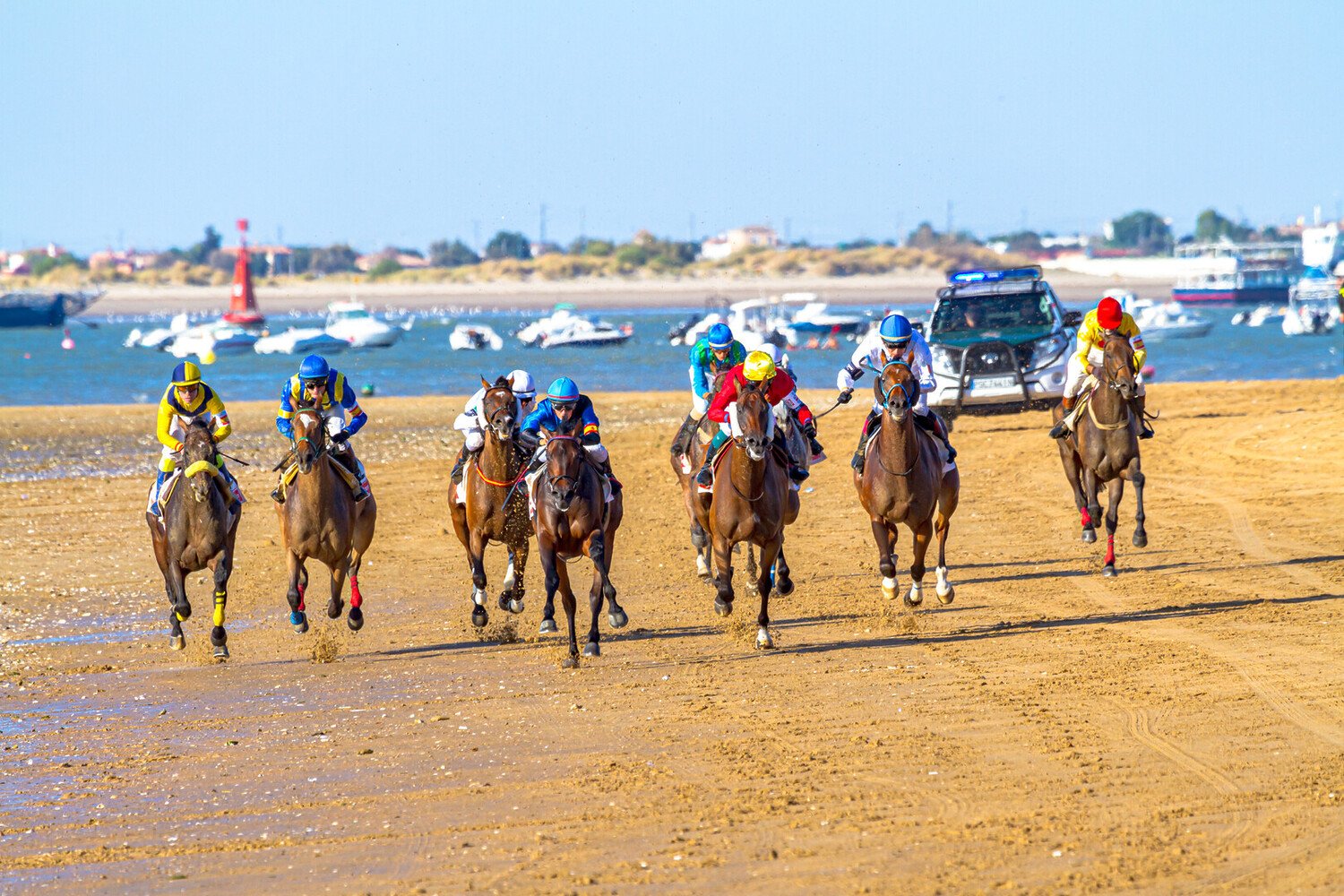 Sanlúcar de Barrameda: Things to Do in Spain’s Underrated Seaside Treasure - 2026 - 16 - things to do in Sanlúcar de Barrameda things to do in Sanlúcar de Barrameda - Sanlúcar de Barrameda: Things to Do in Spain’s Underrated Seaside Treasure - 2026 - 15
