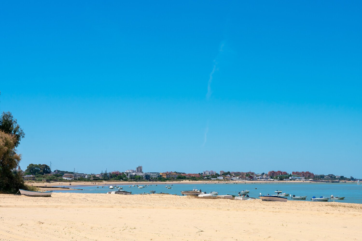Sanlúcar de Barrameda: Things to Do in Spain’s Underrated Seaside Treasure - 2026 - 26 - things to do in Sanlúcar de Barrameda things to do in Sanlúcar de Barrameda - Sanlúcar de Barrameda: Things to Do in Spain’s Underrated Seaside Treasure - 2026 - 25
