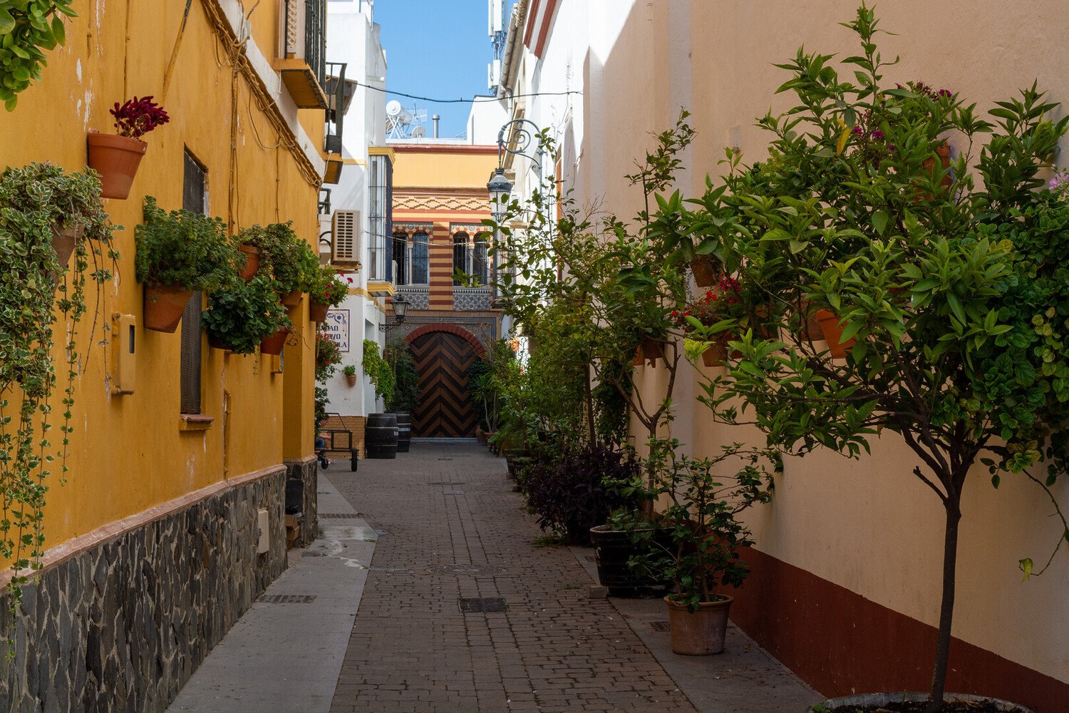 Sanlúcar de Barrameda: Things to Do in Spain’s Underrated Seaside Treasure - 2026 - 2 - things to do in Sanlúcar de Barrameda things to do in Sanlúcar de Barrameda - Sanlúcar de Barrameda: Things to Do in Spain’s Underrated Seaside Treasure - 2026 - 1