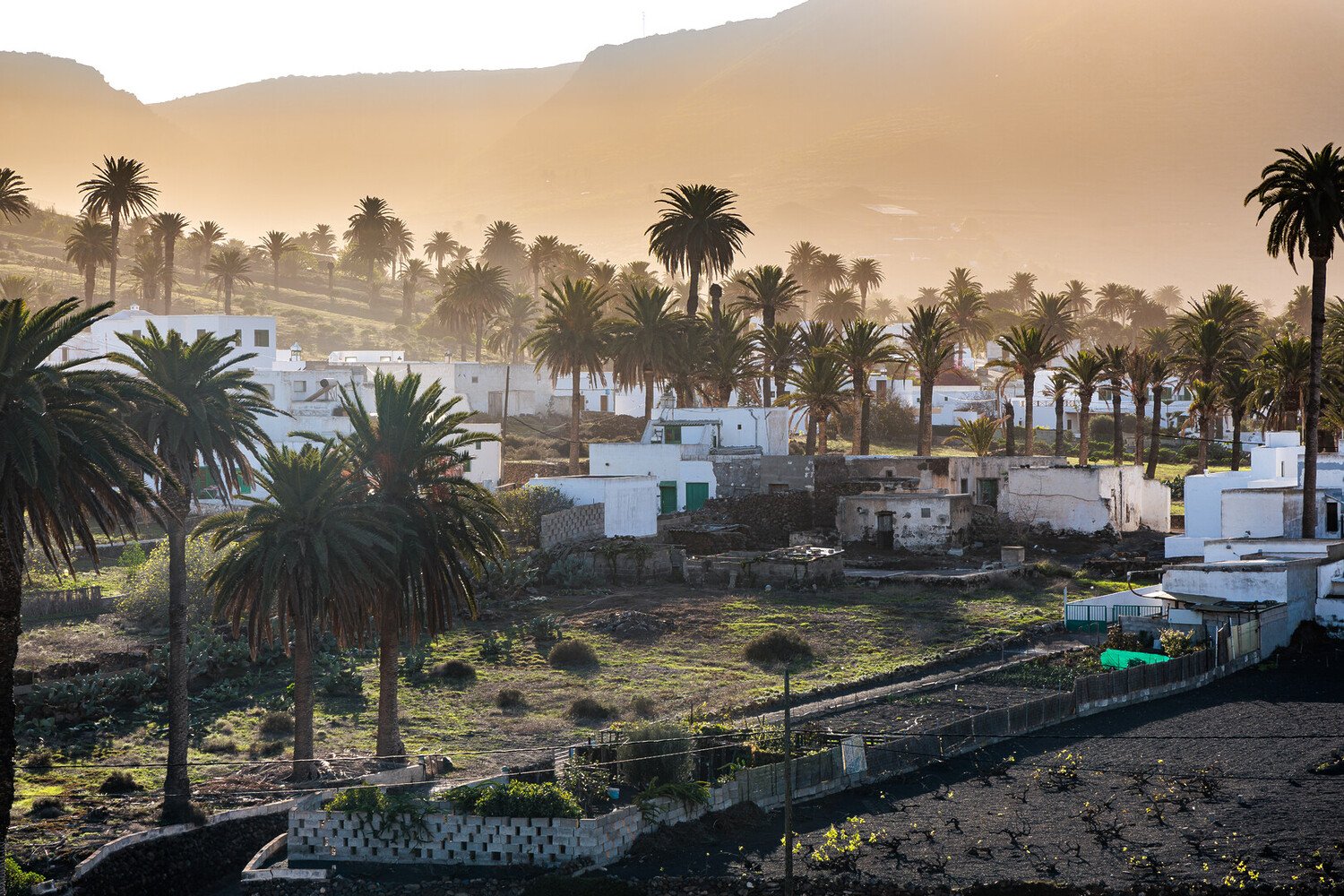 Visit Teguise and Get Lost in Lanzarote’s Coolest Time Capsule - 2026 - 22 - visit teguise visit teguise - Visit Teguise and Get Lost in Lanzarote’s Coolest Time Capsule - 2026 - 21