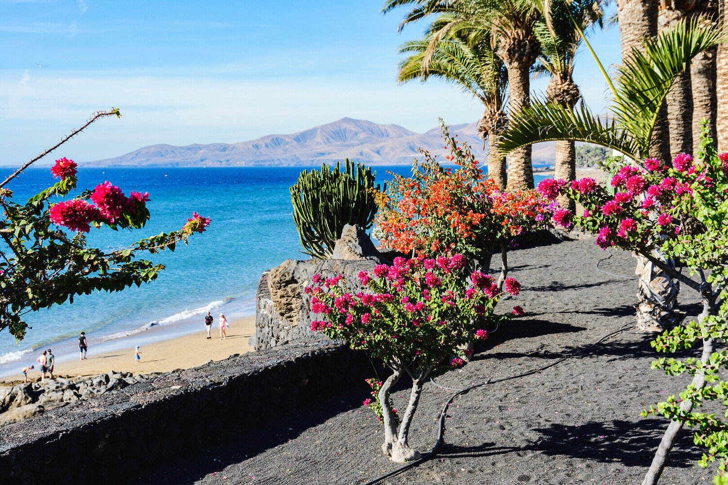 Visit Teguise and Get Lost in Lanzarote’s Coolest Time Capsule - 2026 - 26 - visit teguise visit teguise - Visit Teguise and Get Lost in Lanzarote’s Coolest Time Capsule - 2026 - 25