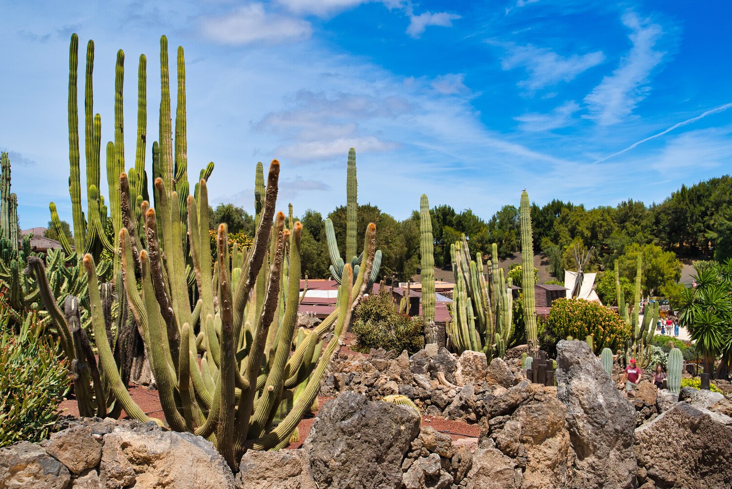 Top Things to Do in Puerto del Carmen for Sun-Soaked Days - 2026 - 6 - things to do in puerto del carmen things to do in puerto del carmen - Top Things to Do in Puerto del Carmen for Sun-Soaked Days - 2026 - 5