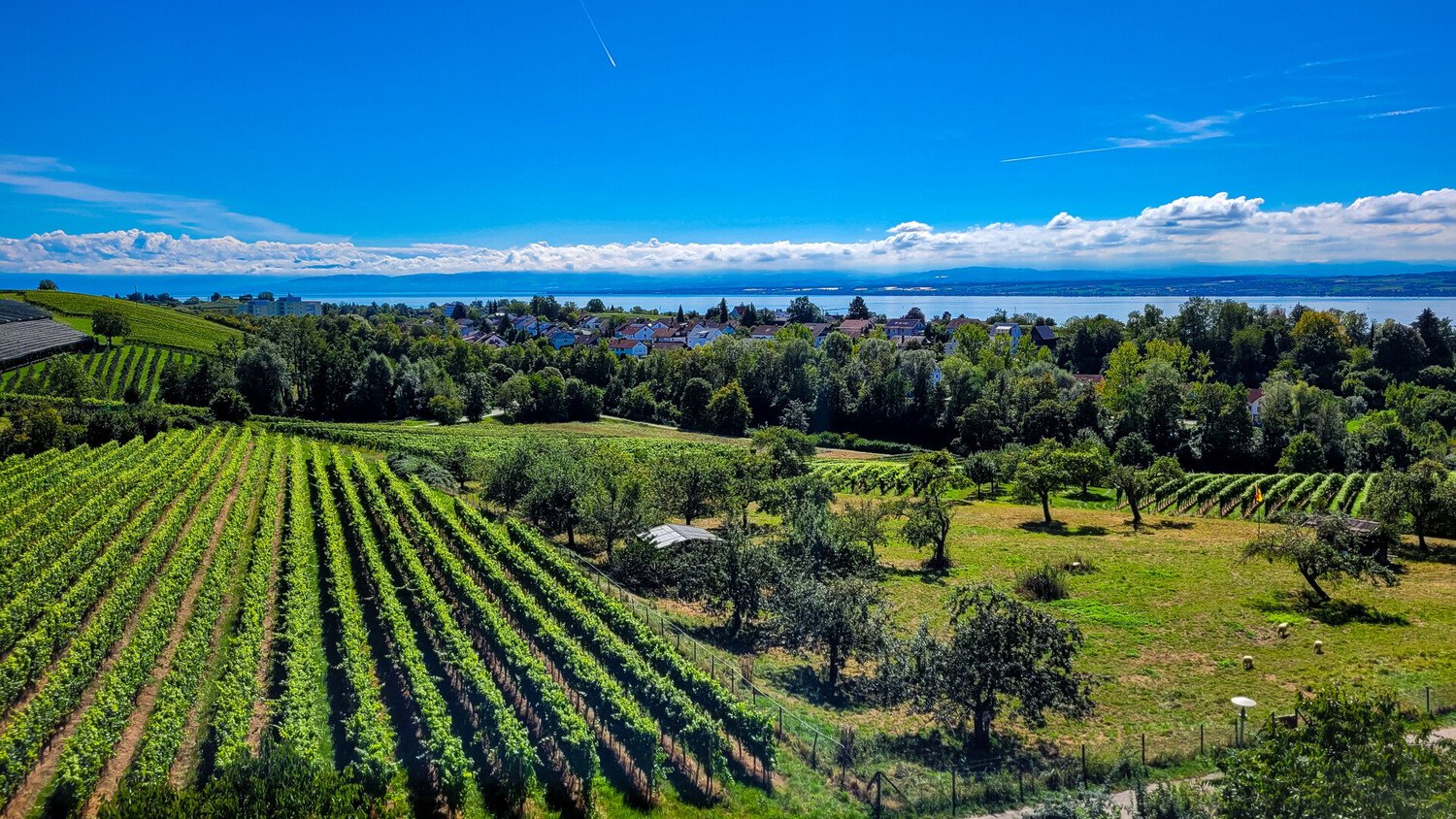 Découvrir Neuchâtel : Charme médiéval en Suisse romande - 2026 - 12 - neuchatel neuchatel - Découvrir Neuchâtel : Charme médiéval en Suisse romande - 2026 - 11