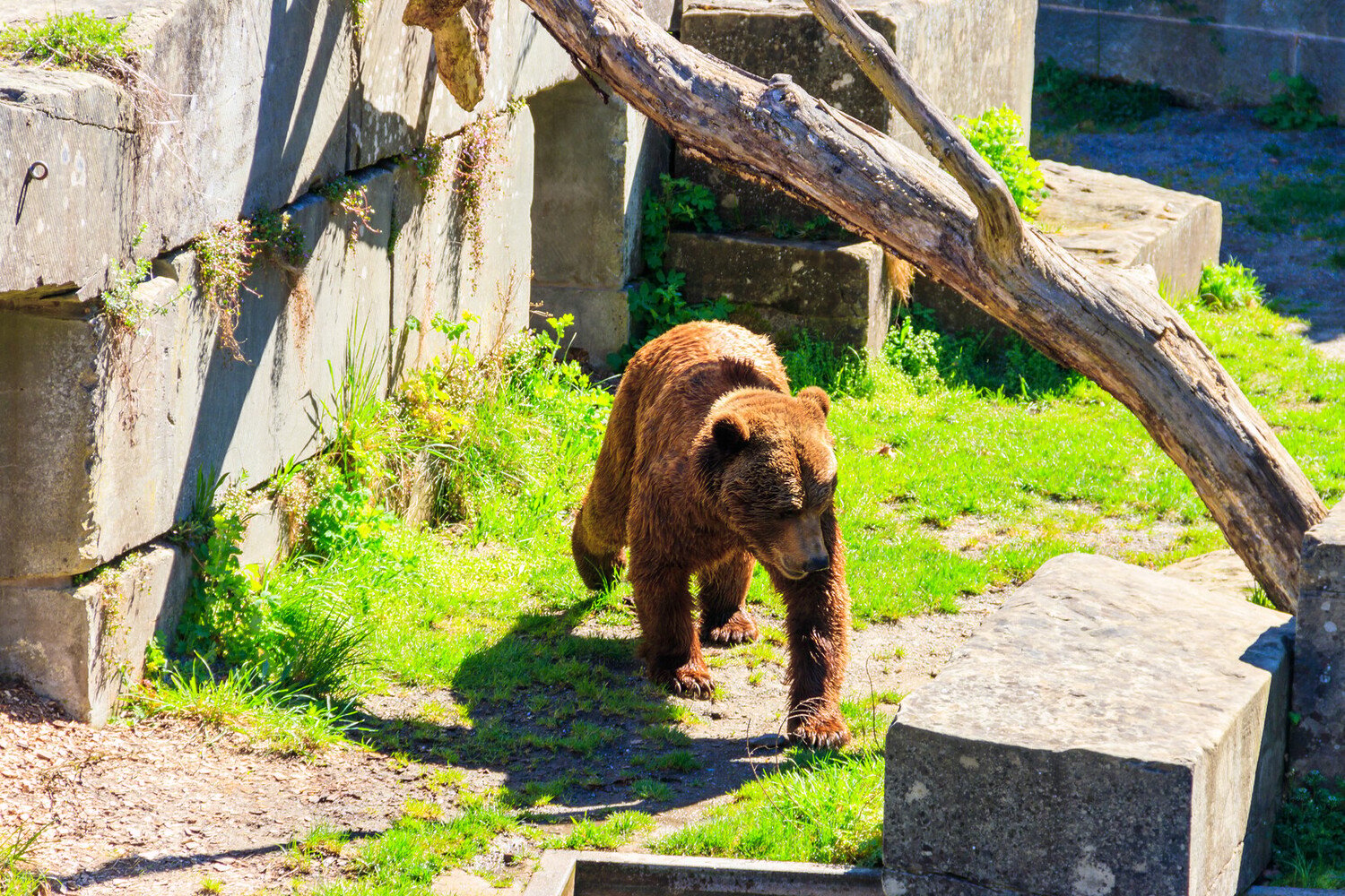 One Day in Bern: A Switzerland Day Trip Itinerary - 2026 - 14 - things to do in bern things to do in bern - One Day in Bern: A Switzerland Day Trip Itinerary - 2026 - 13