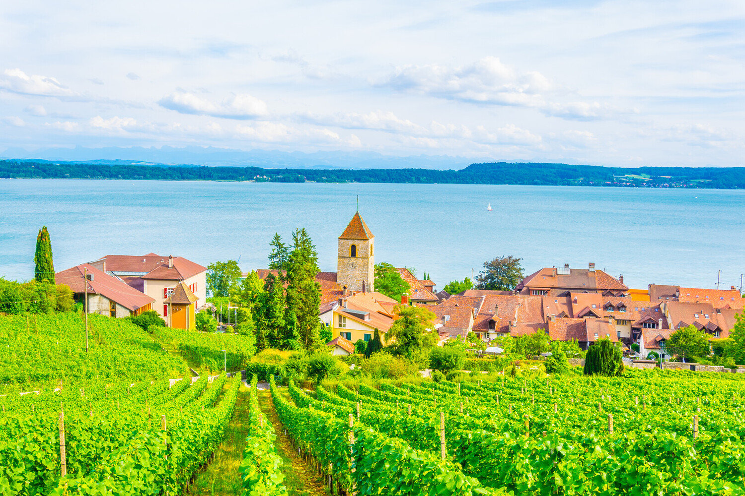 One Day in Bern: A Switzerland Day Trip Itinerary - 2026 - 24 - things to do in bern things to do in bern - One Day in Bern: A Switzerland Day Trip Itinerary - 2026 - 23
