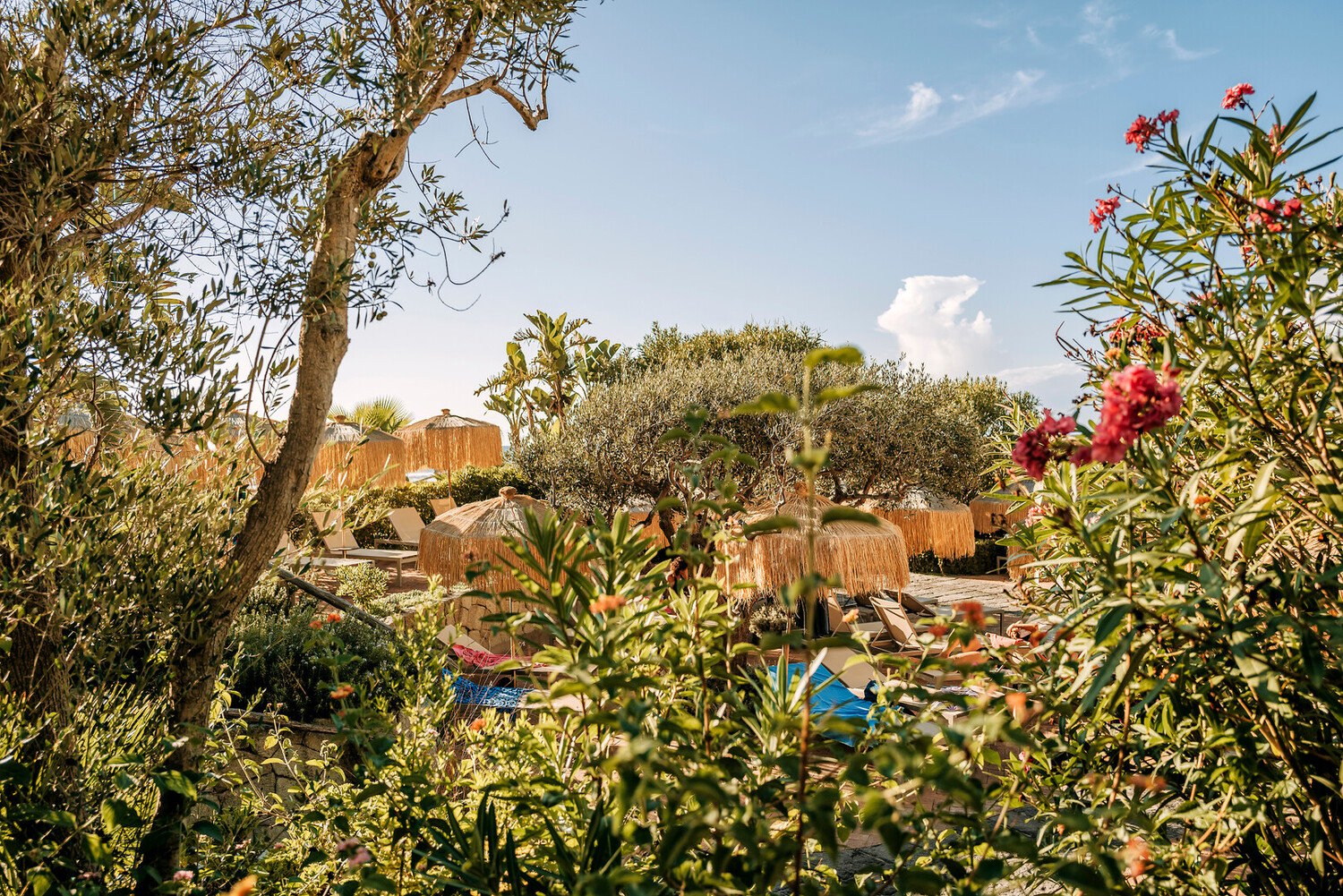 Visit Ischia Italy: Thermal Bliss and Coastal Charm - 2026 - 6 - visit ischia visit ischia - Visit Ischia Italy: Thermal Bliss and Coastal Charm - 2026 - 5