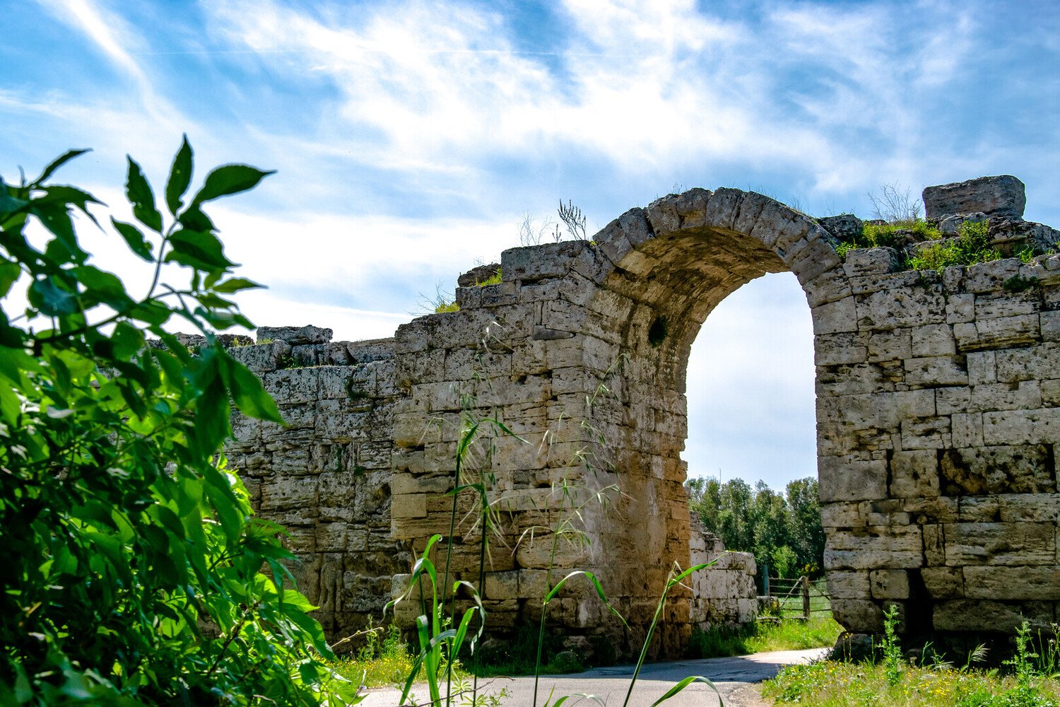 Visit Paestum: Discover Greek Temples of Southern Italy - 2026 - 10 - Visit Paestum Visit Paestum - Visit Paestum: Discover Greek Temples of Southern Italy - 2026 - 9
